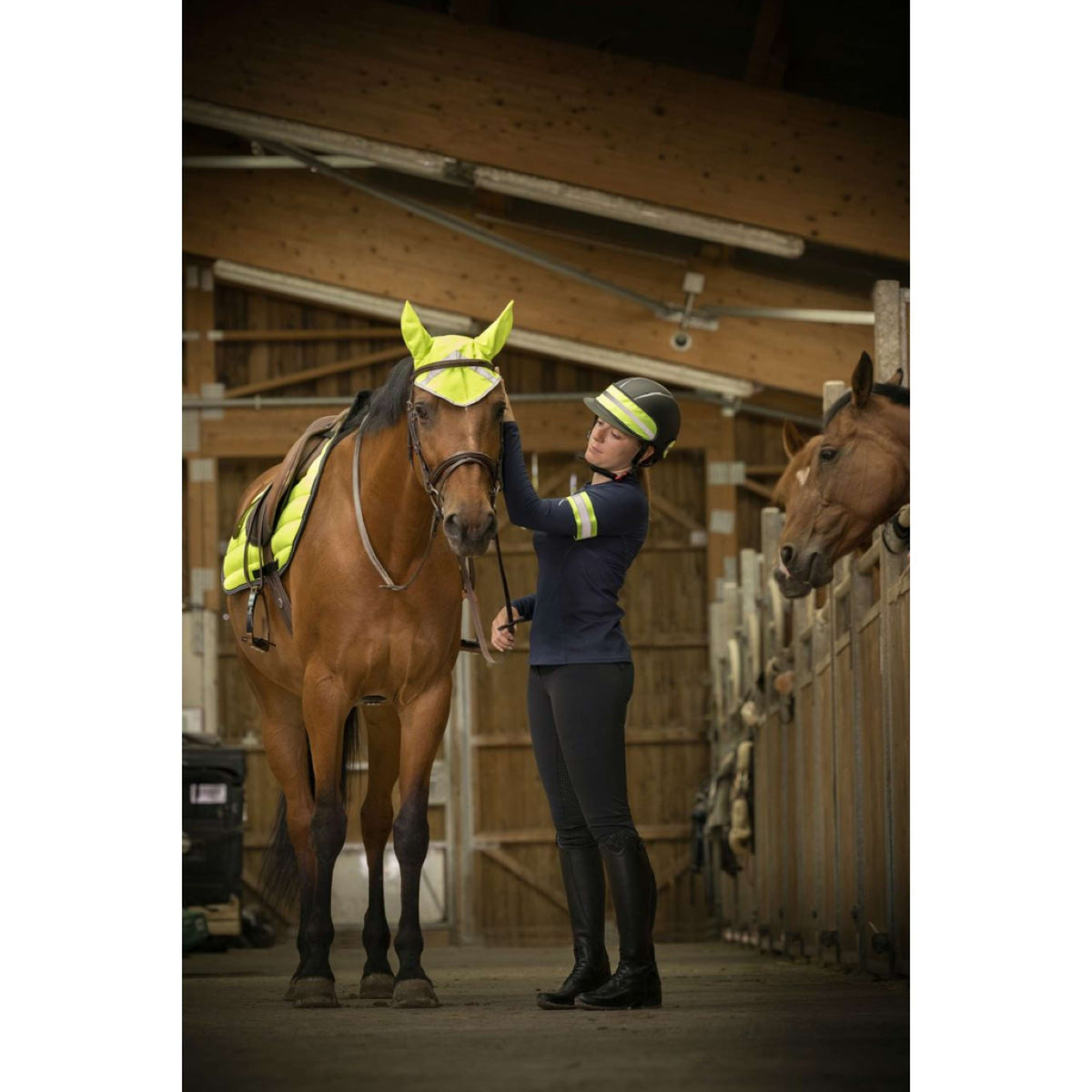 EQUITHÈME Reitkappenband High Visibility Fluor Gelb