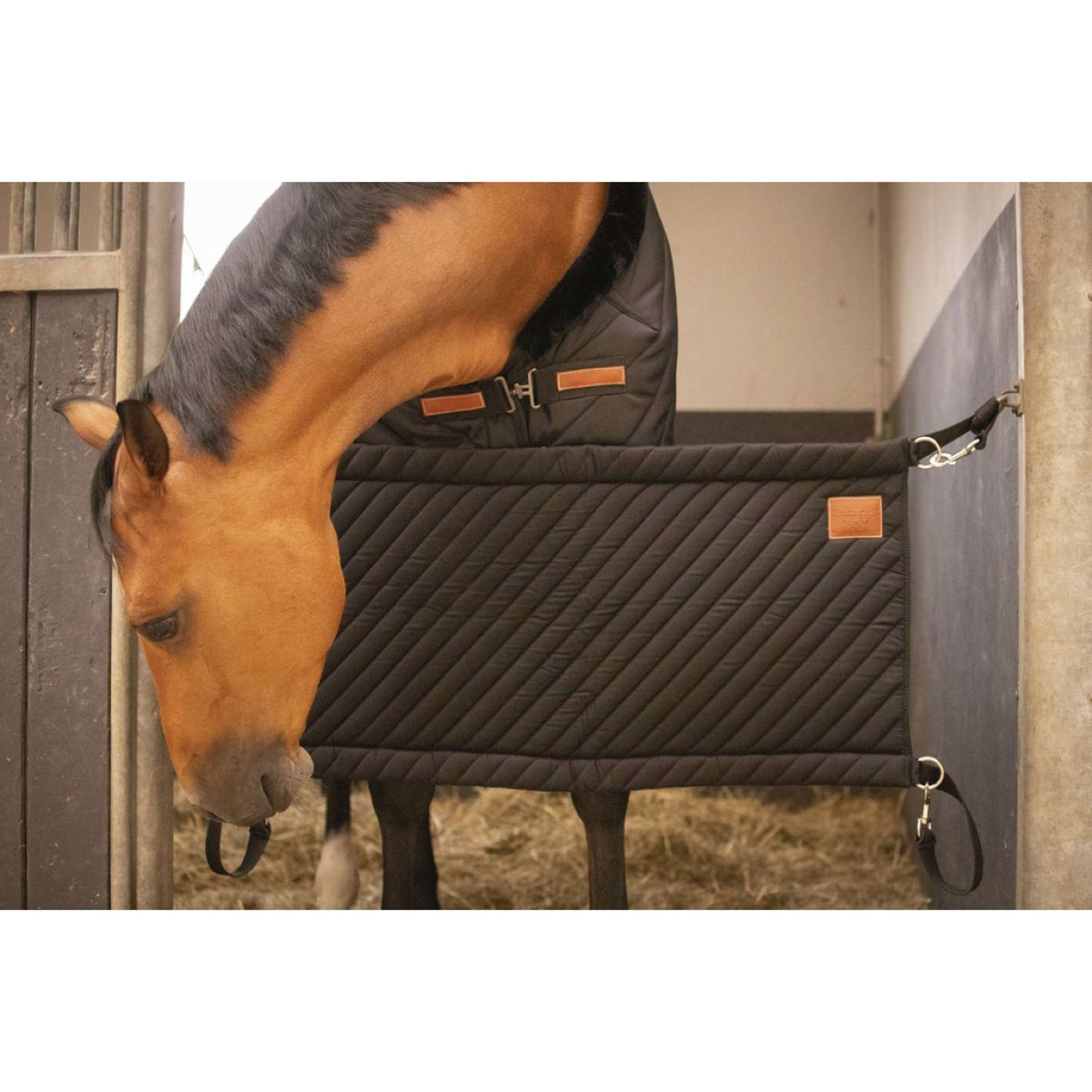 Paddock Boxentuch Schwarz Paddock Boxentuch Schwarz