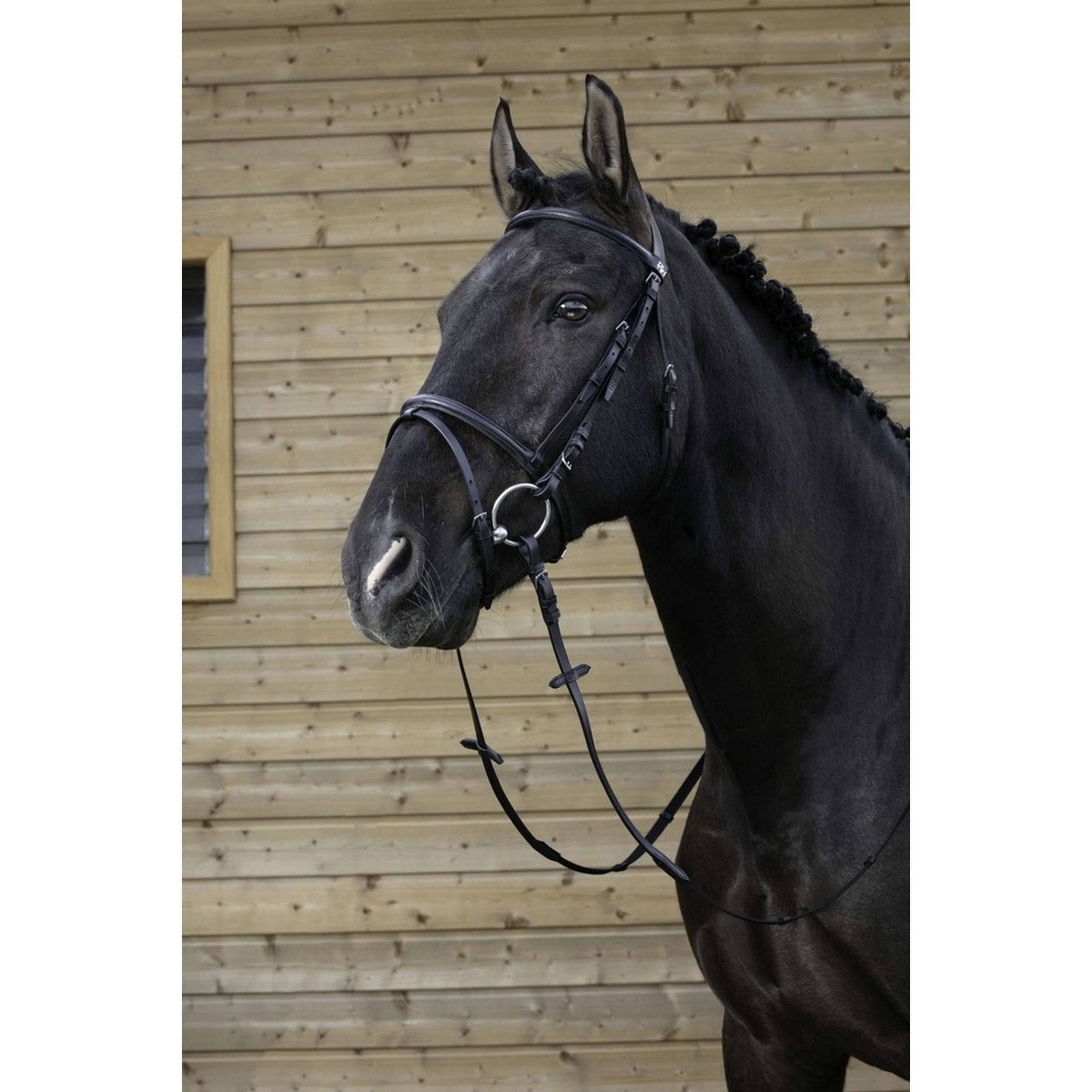 Riding World Trense mit Kombiniertem Nasenriemen Schwarz Riding World Trense mit Kombiniertem Nasenriemen Schwarz