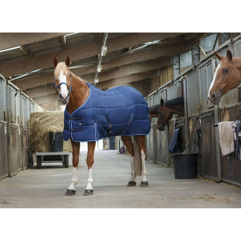Riding World Stalldecke Blau
