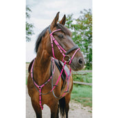 Norton Zaum Endurance Rosa