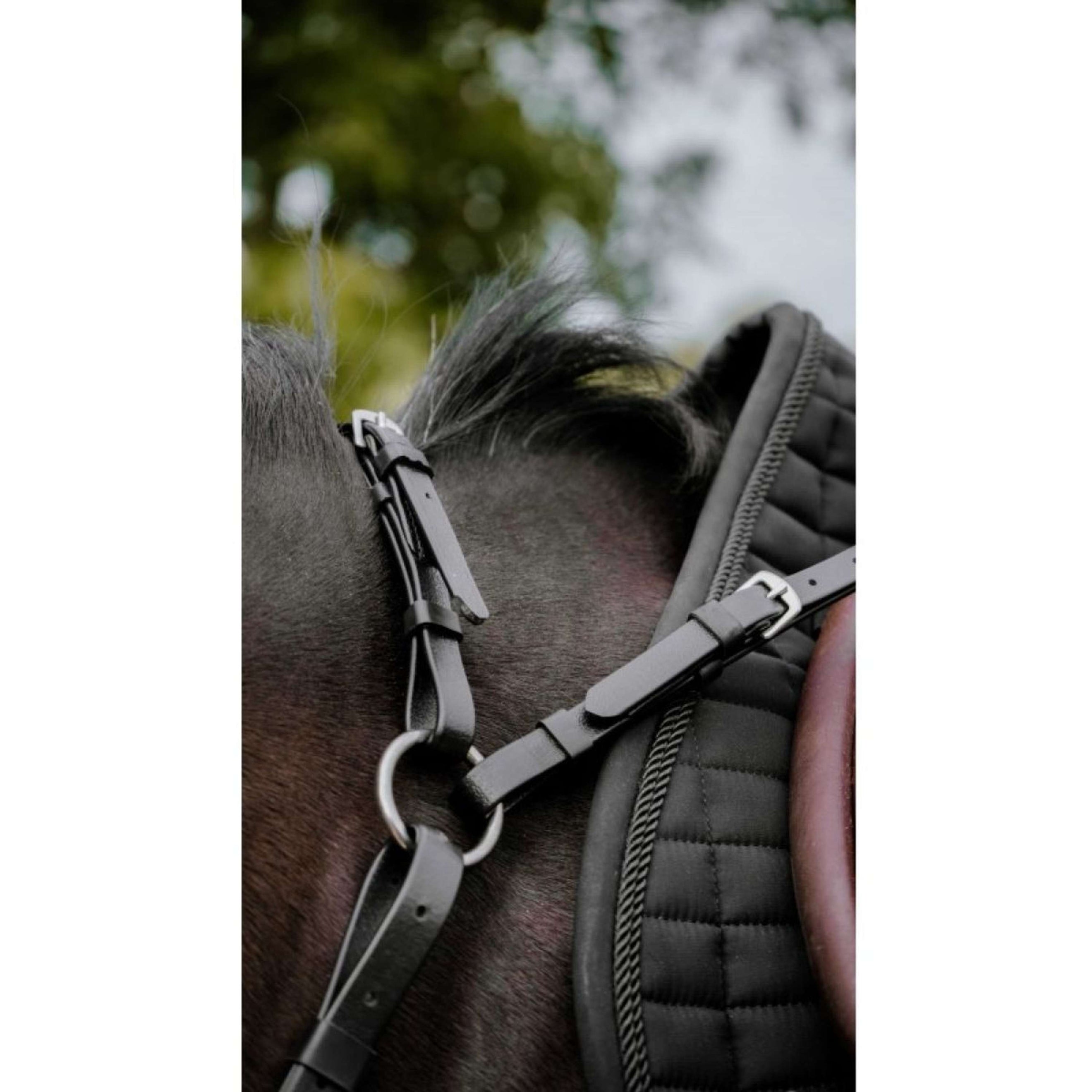 Norton Martingal Endurance Schwarz
