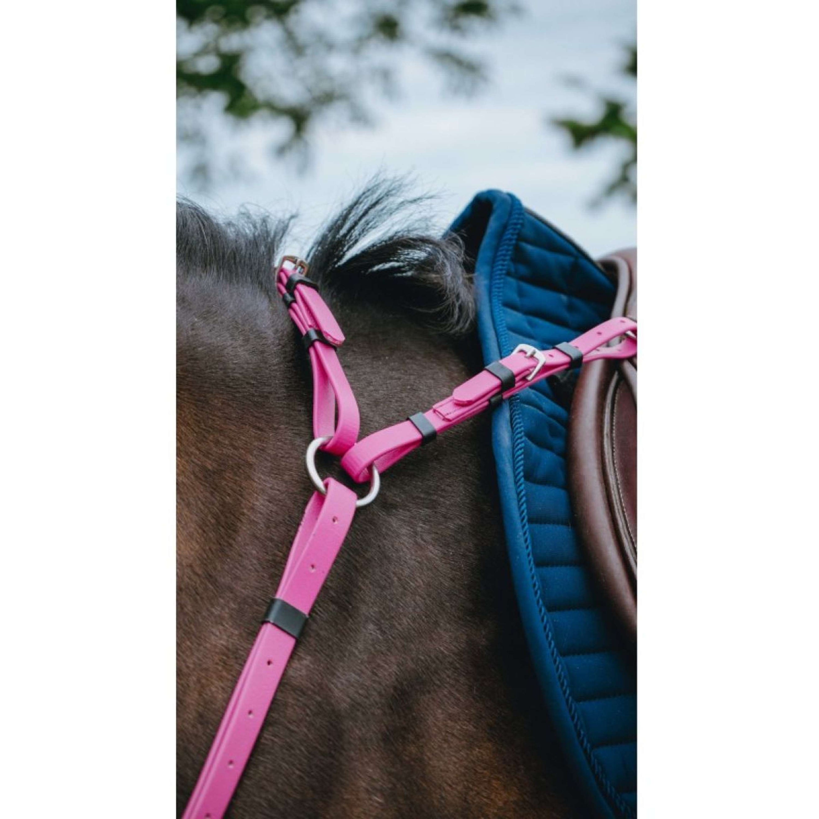 Norton Martingal Endurance Rosa Norton Martingal Endurance Rosa