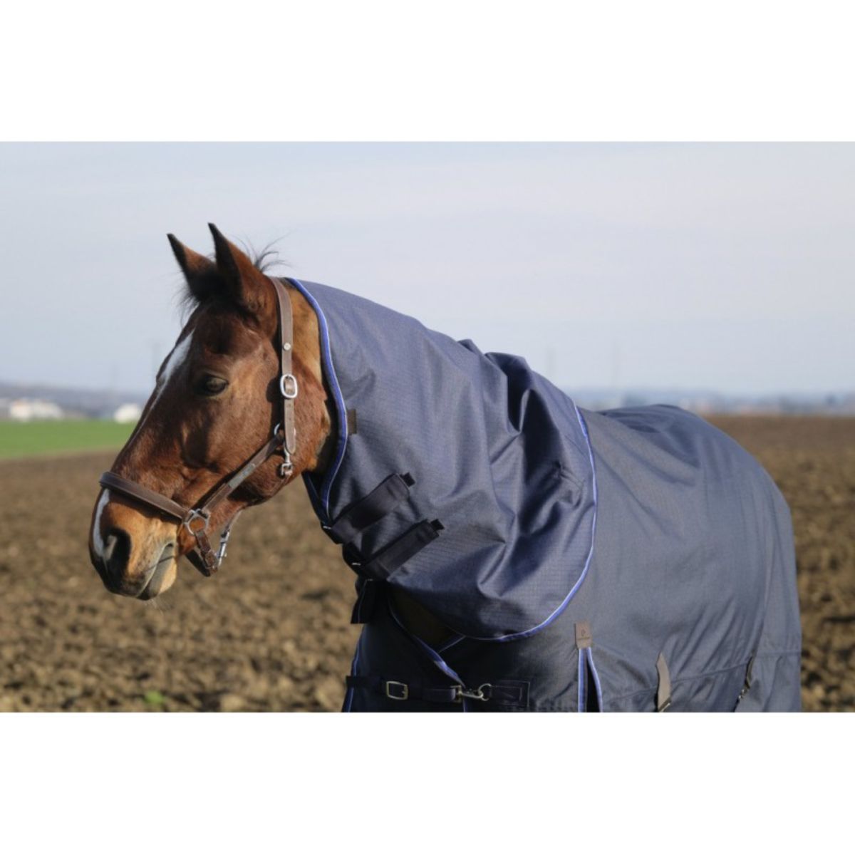 EQUITHÈME Halsstück Classic 600D 150g Navy