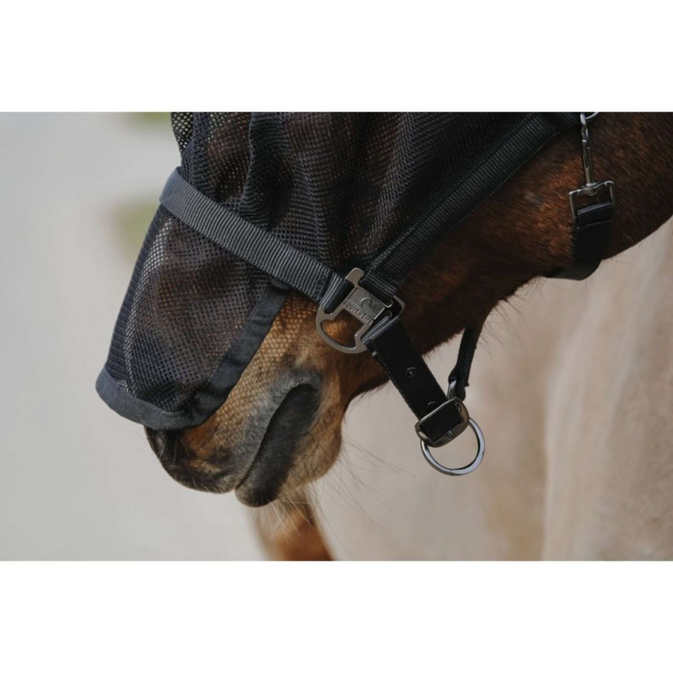 EQUITHÈME Halfter mit Maske Mesh Schwarz EQUITHÈME Halfter mit Maske Mesh Schwarz