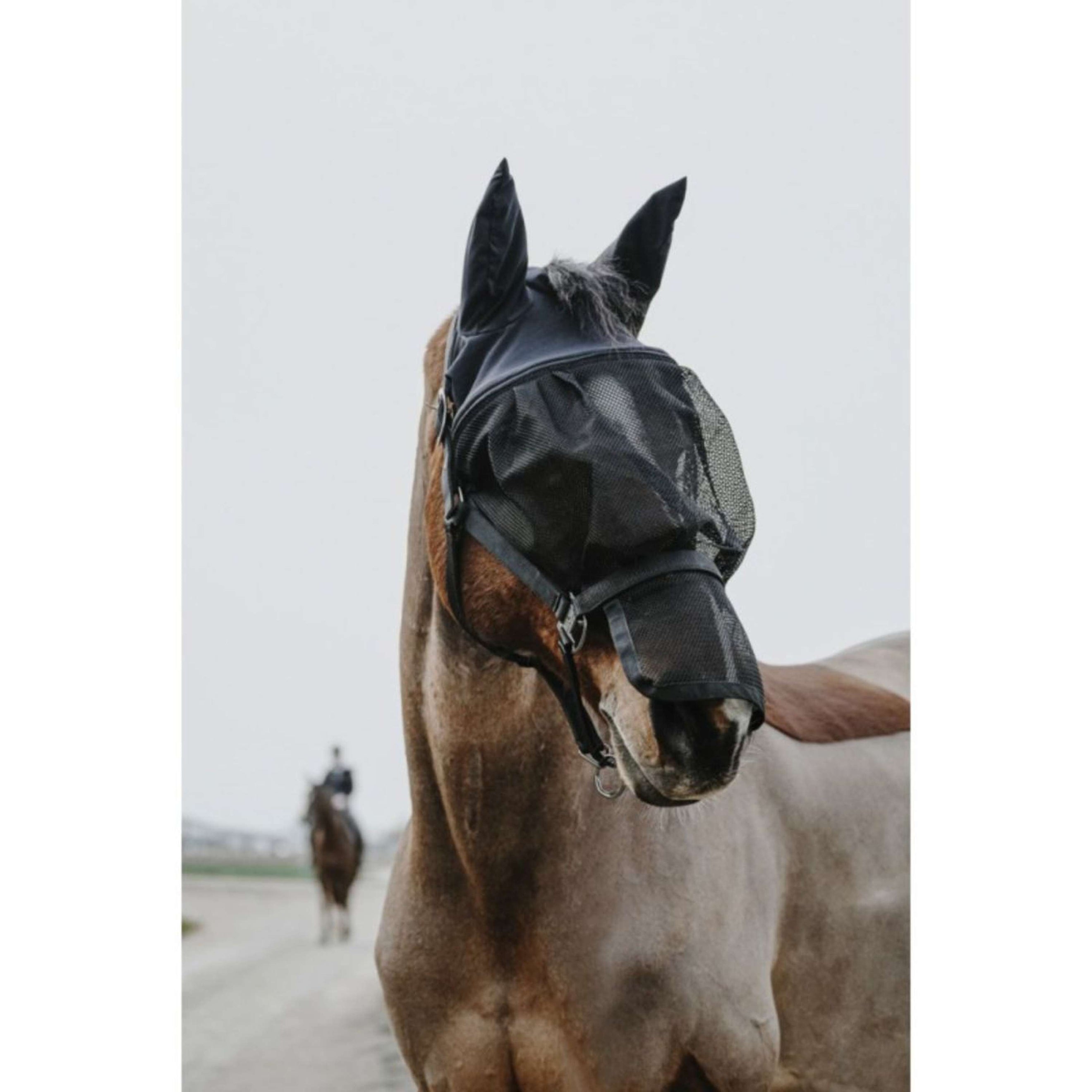 EQUITHÈME Halfter mit Maske Mesh Schwarz EQUITHÈME Halfter mit Maske Mesh Schwarz