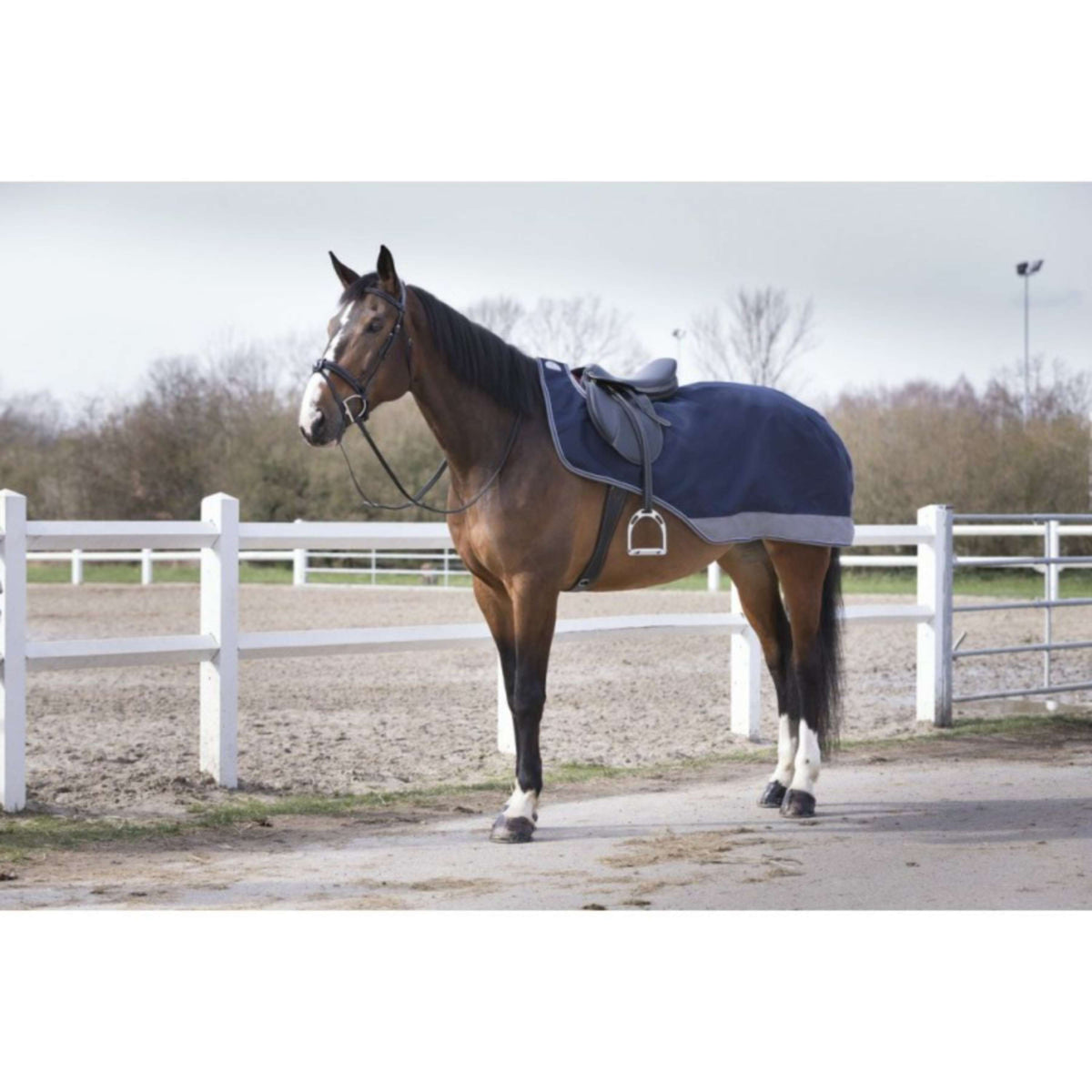 EQUITHÈME Ausreitdecke Tyrex Polar Fleece 600D Navy/Grau Dots