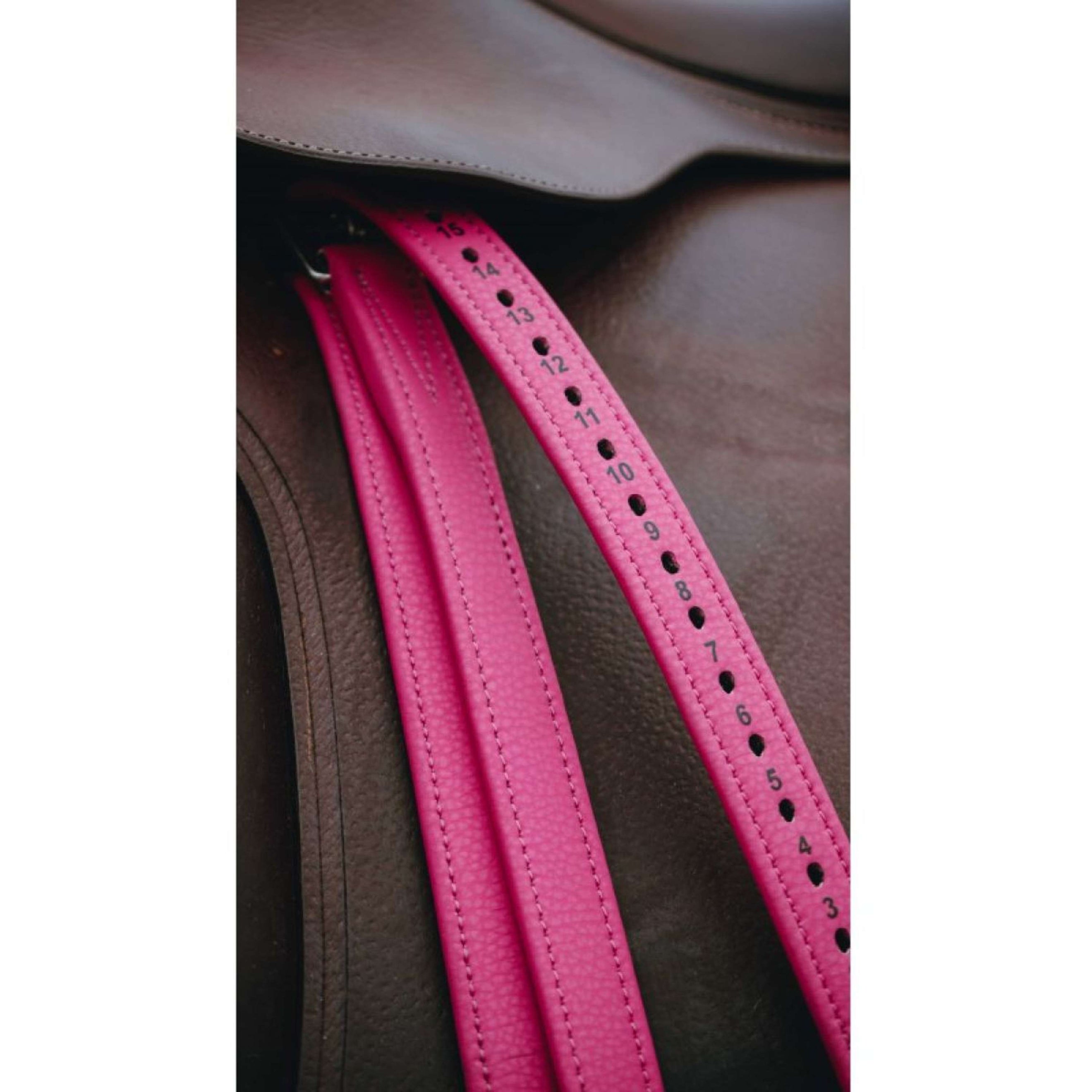 Norton Steigbügelriemen Rosa