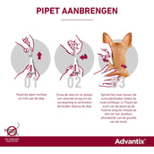 Advantix 100/500 Spot-On Hund 4-10kg