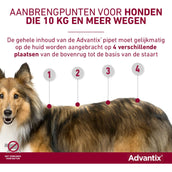 Advantix 250/1250 Spot-On Hund 10-25kg