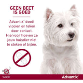 Advantix 100/500 Spot-On Hund 4-10kg