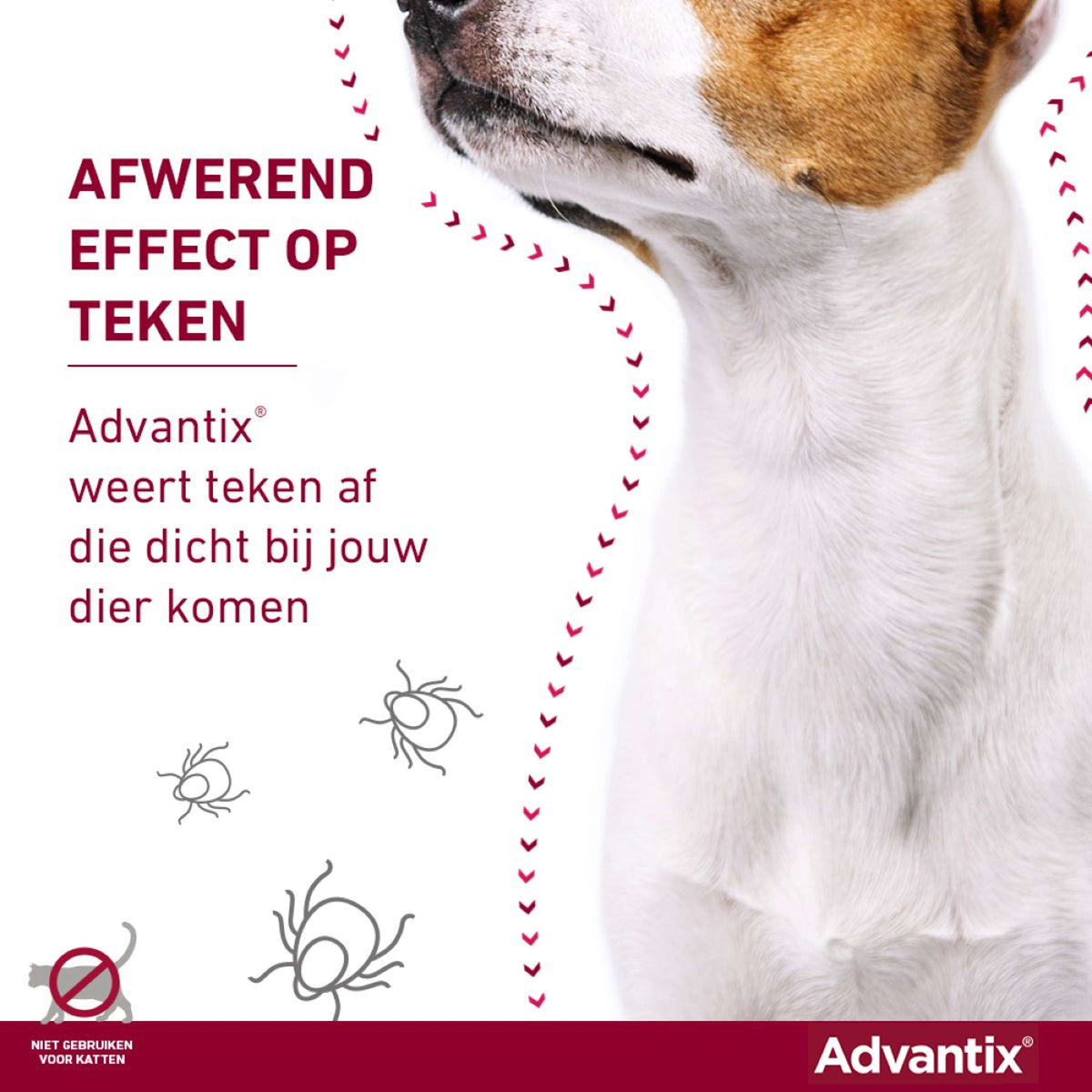 Advantix 250/1250 Spot-On Hund 10-25kg