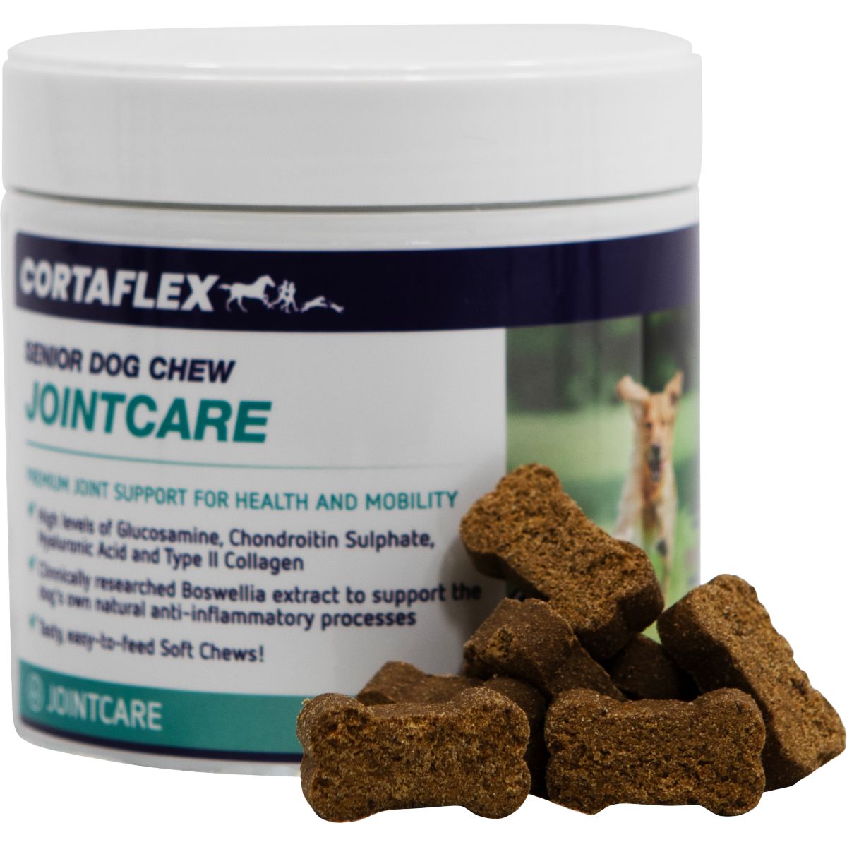 Equine America Hundefutter Senior