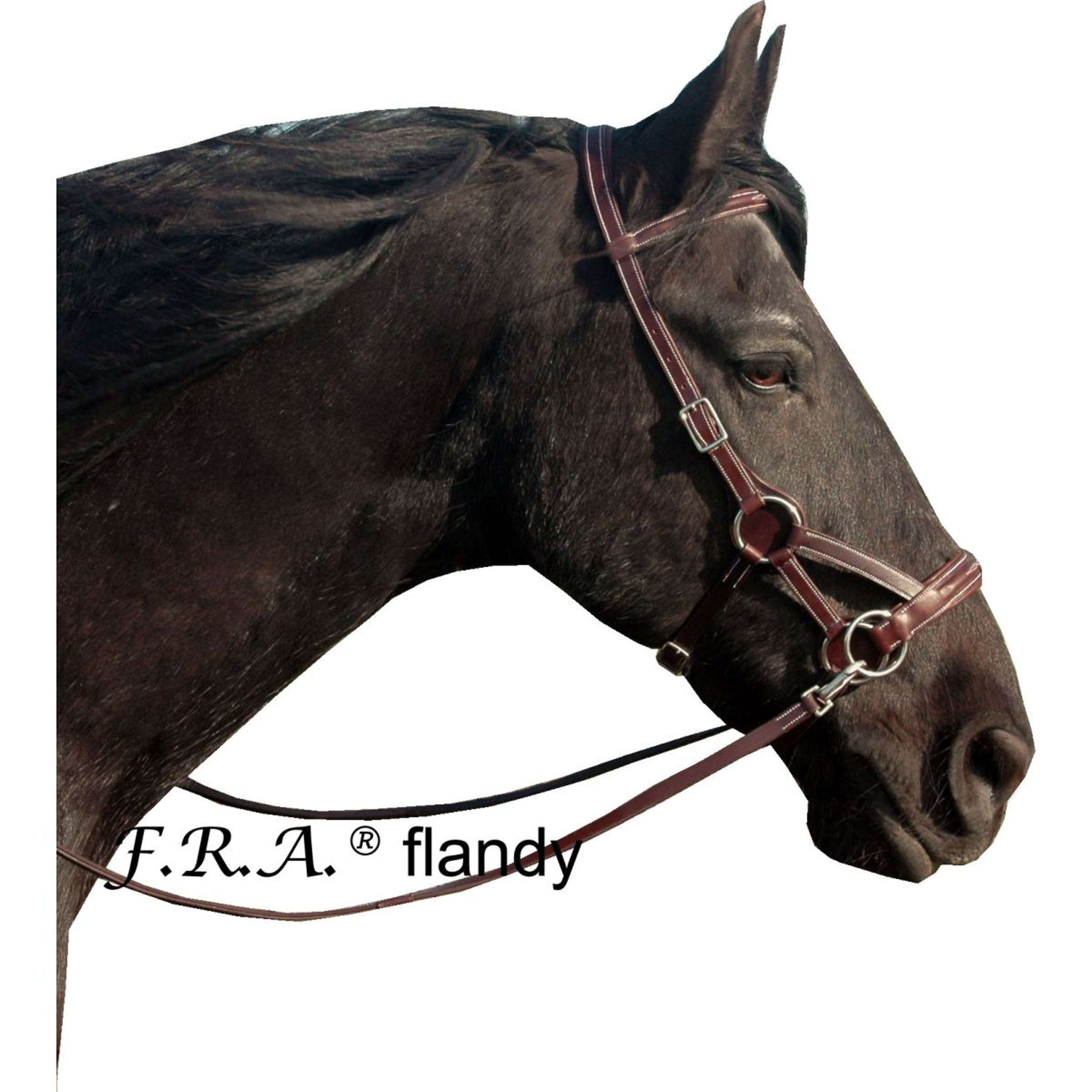F.R.A. Gebisslose Trense Flandy Side Pull Gummigriff Leder Zügel Braun F.R.A. Gebisslose Trense Flandy Side Pull Gummigriff Leder Zügel Braun