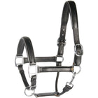 Harry's Horse Halfter Leder mit Biese Silber