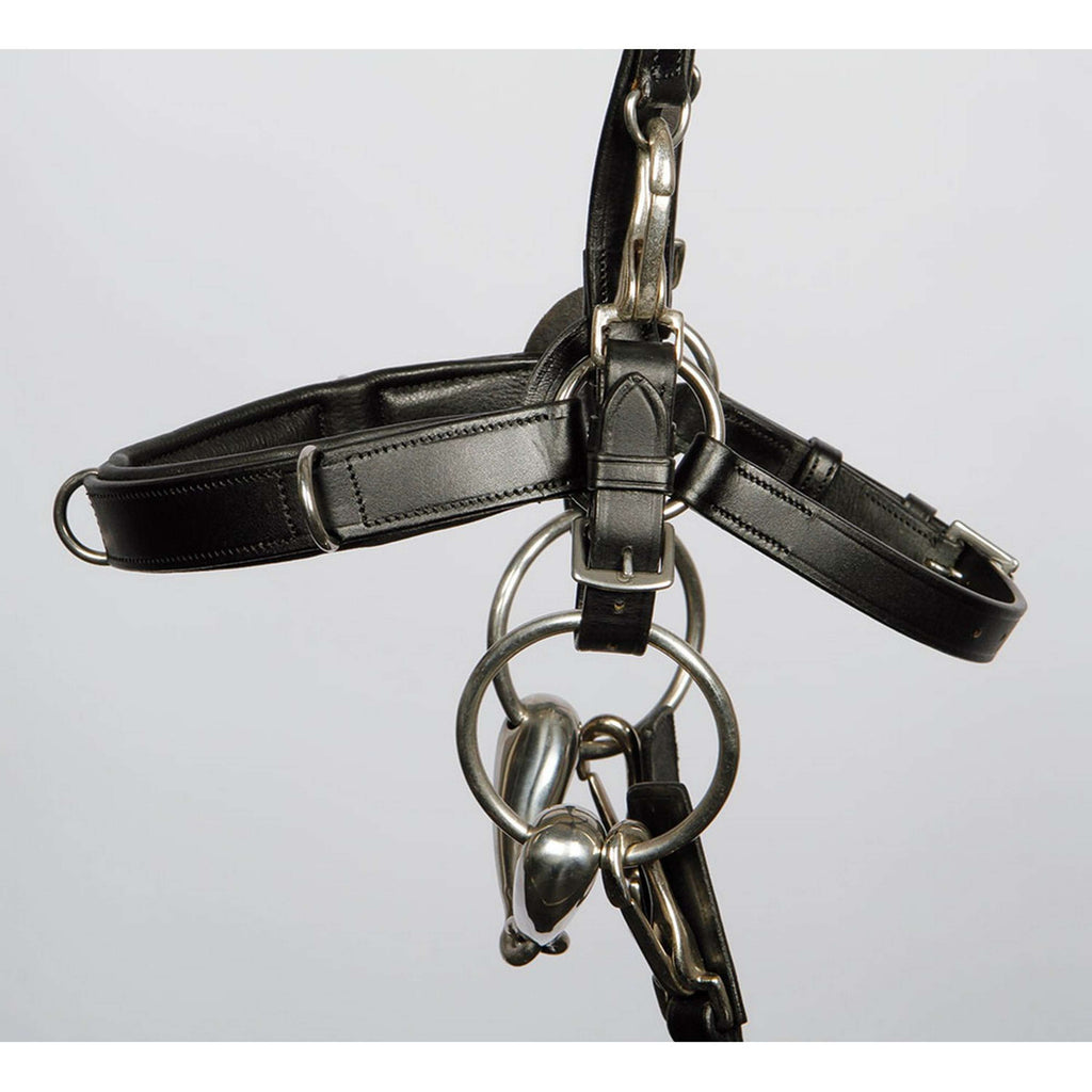 Harry's Horse Kappzaum Trense Leder Schwarz