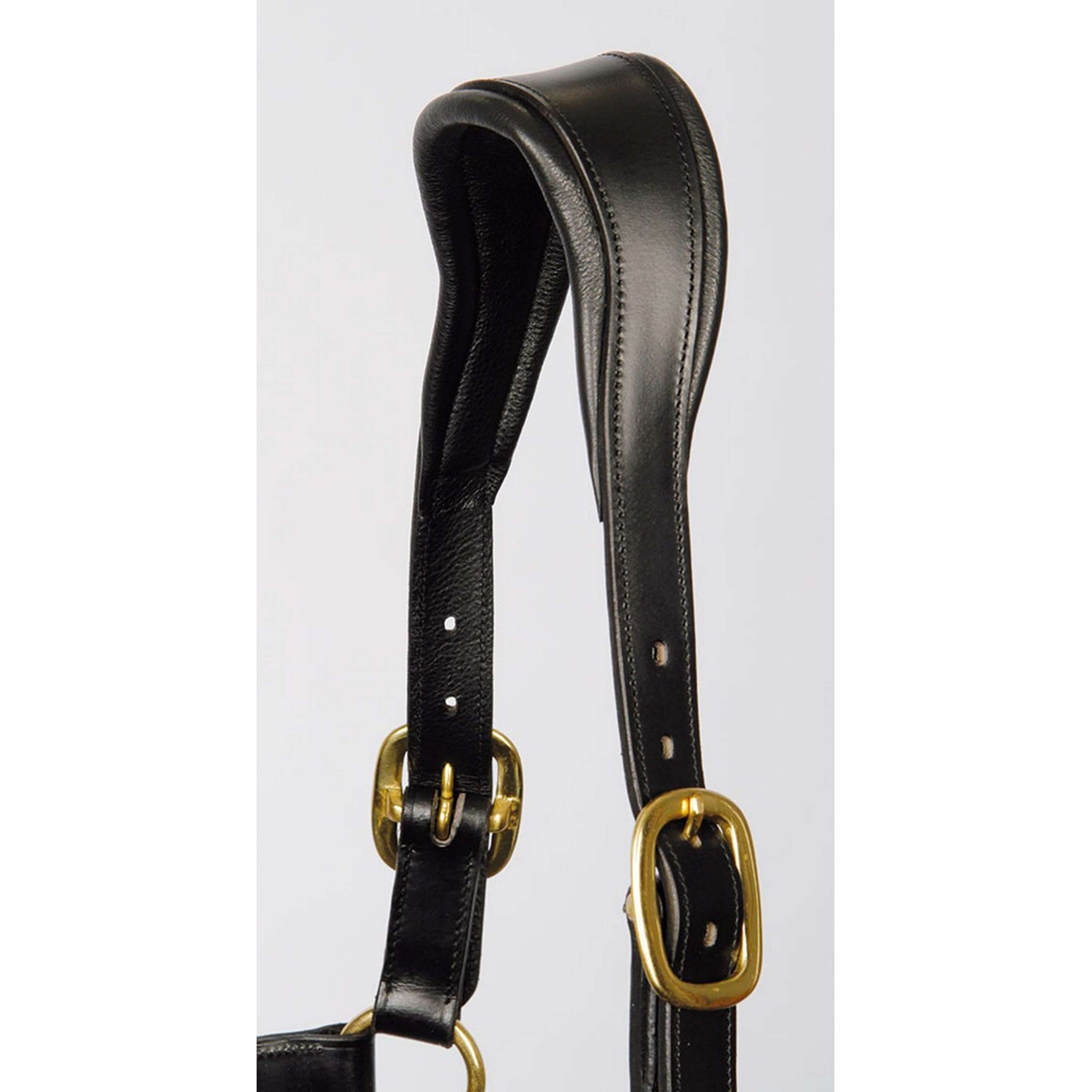 Harry's Horse Halfter Anatomisches Leder Schwarz Harry's Horse Halfter Anatomisches Leder Schwarz