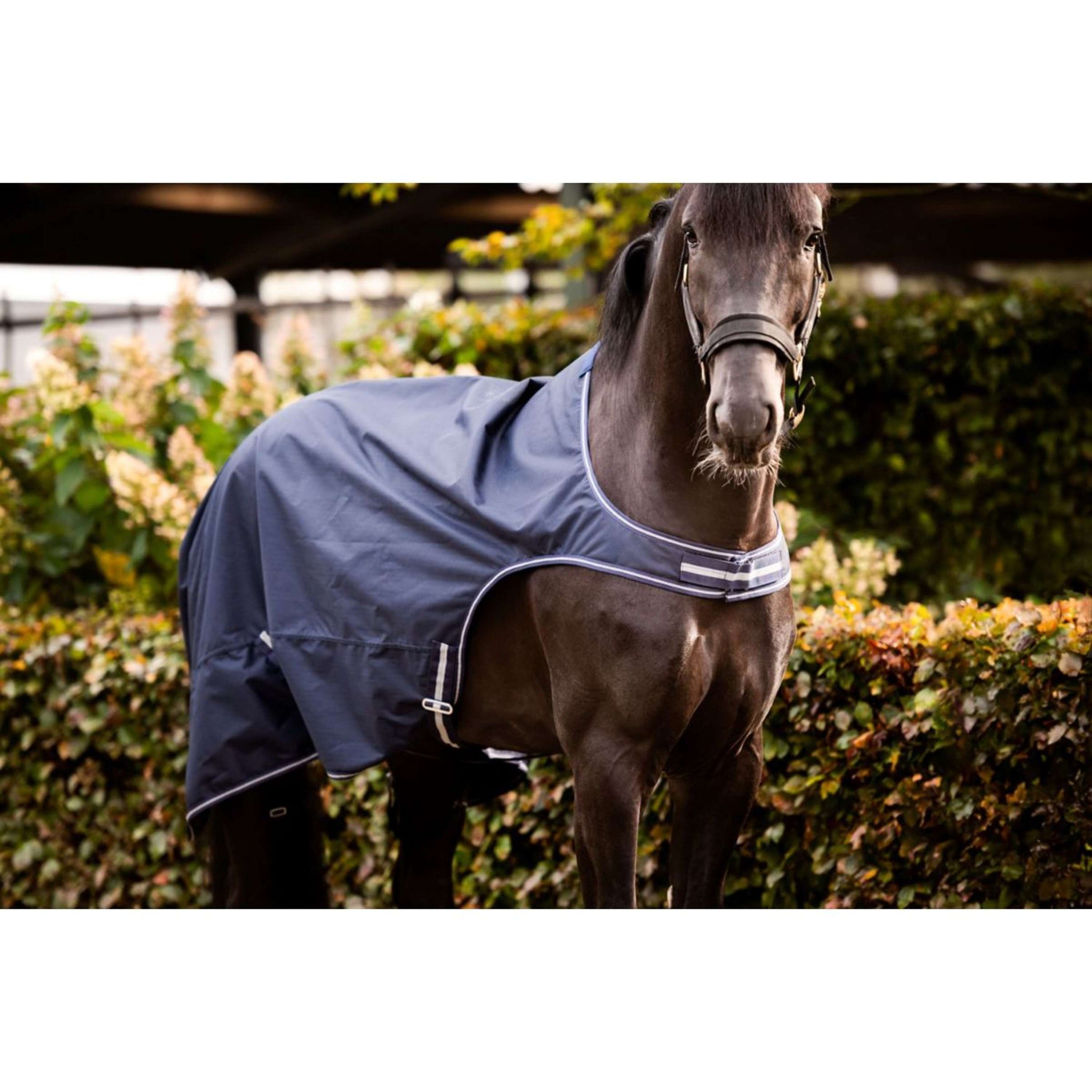 HB Führanlagendecke Showtime Navy HB Führanlagendecke Showtime Navy