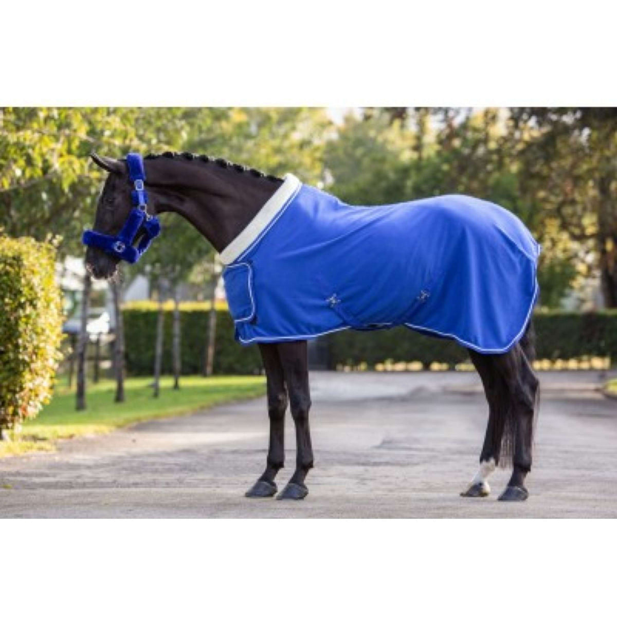 HB Showtime Showdecke Fleece 400gr Dutch Crown Royal Blue