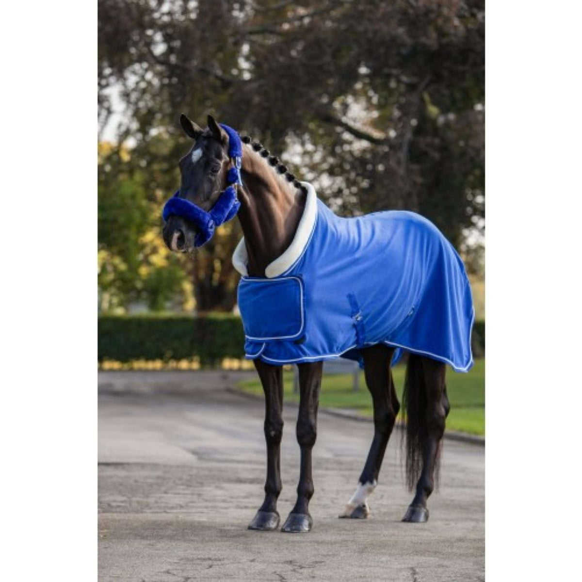 HB Showtime Showdecke Fleece 400gr Dutch Crown Royal Blue