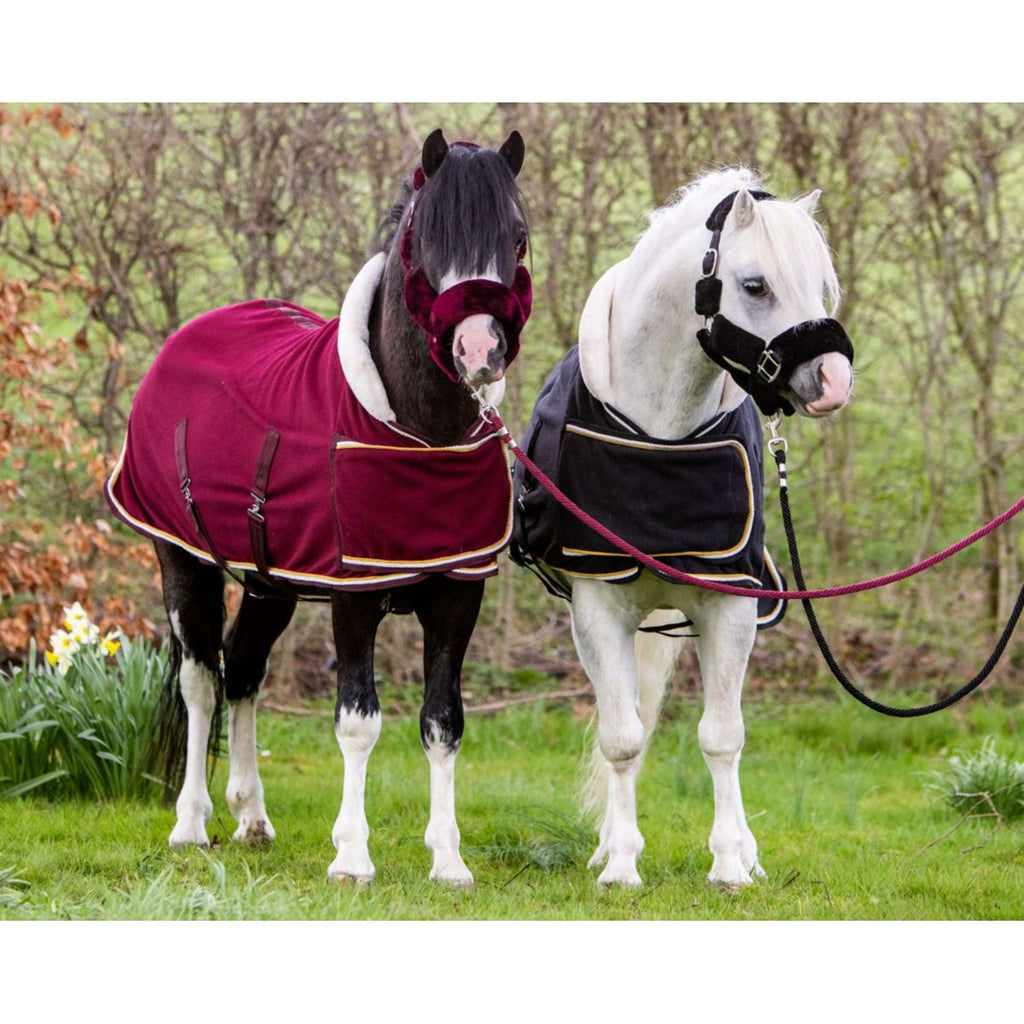 HB Harry & Hector Showdecke Dutch Crown Little Sizes Schwarz