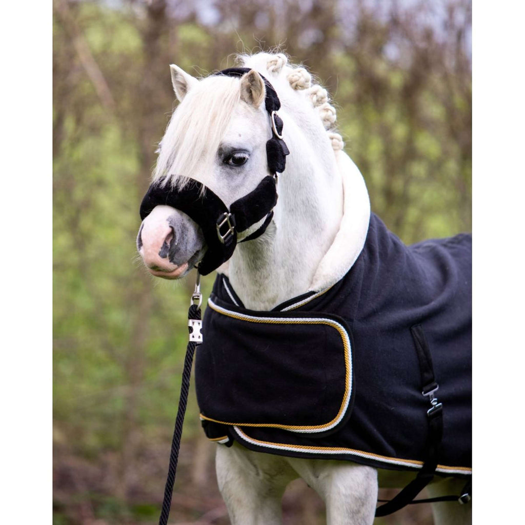 HB Harry & Hector Showdecke Dutch Crown Little Sizes Schwarz