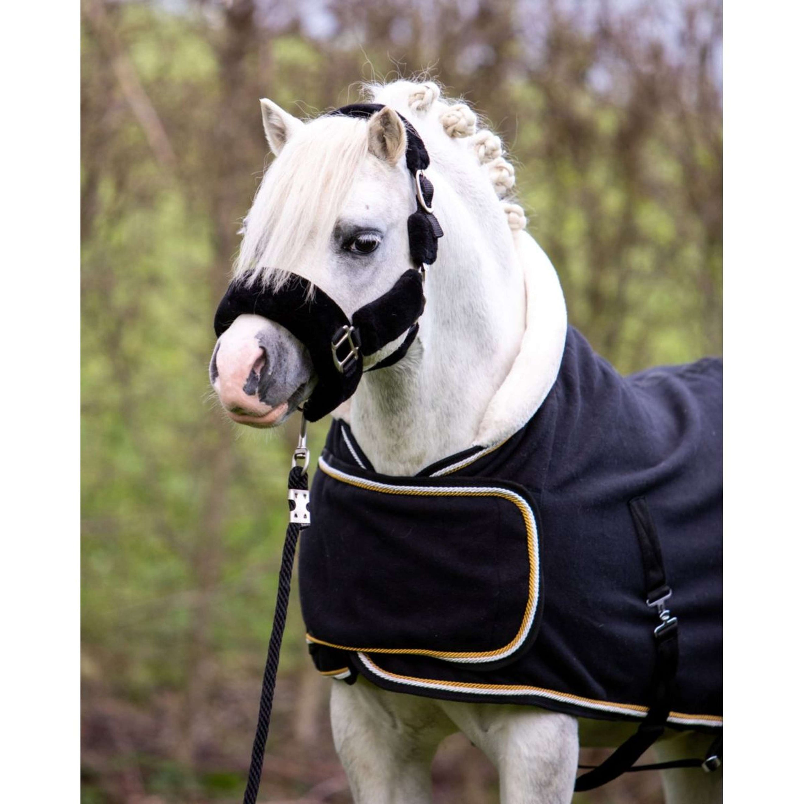 HB Harry & Hector Showdecke Dutch Crown Little Sizes Schwarz