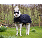 HB Harry & Hector Showdecke Dutch Crown Little Sizes Schwarz