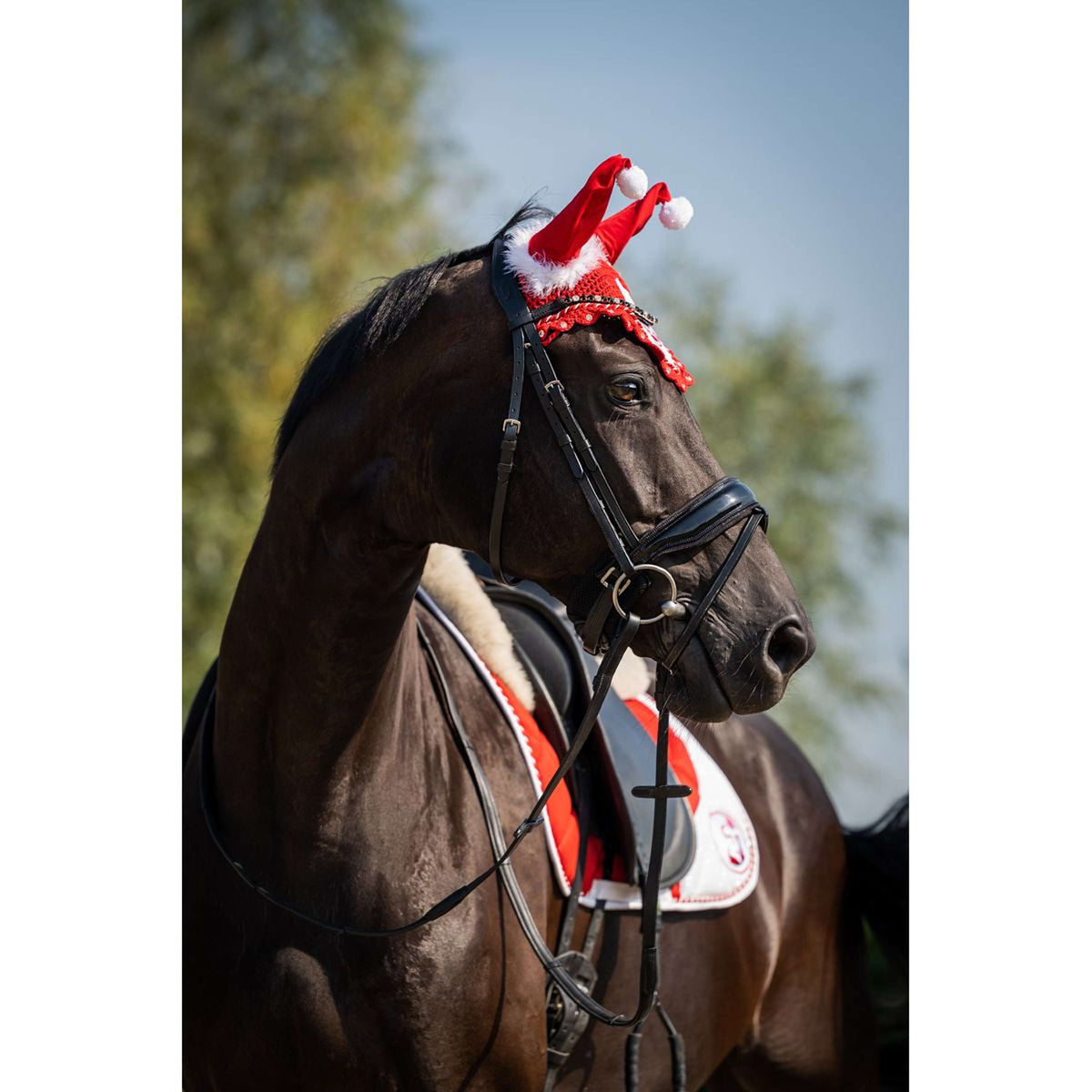 HB Fliegenhaube Christmas Christmas Red Glitter