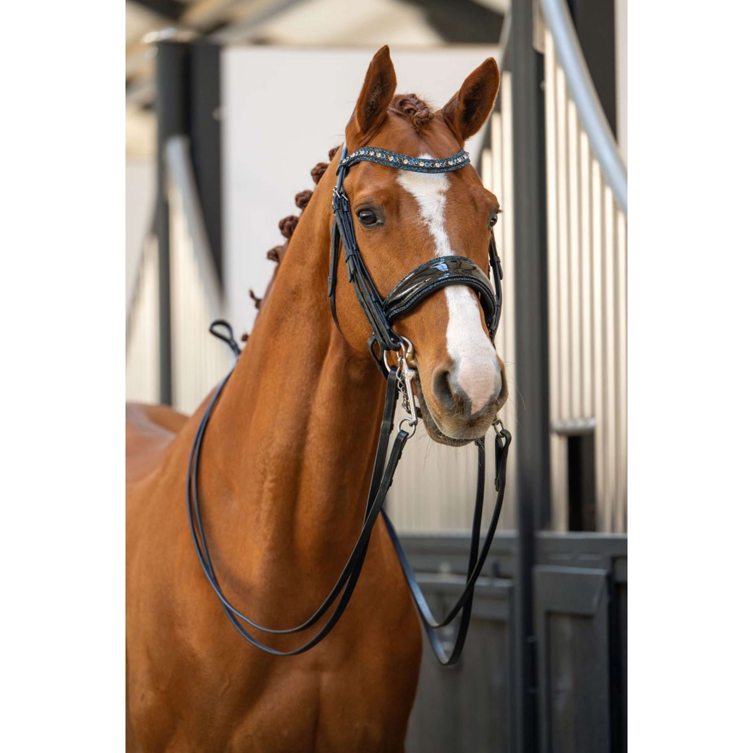 HB Zaum Showtime One in a Million Schwarz/Navy Funkeln