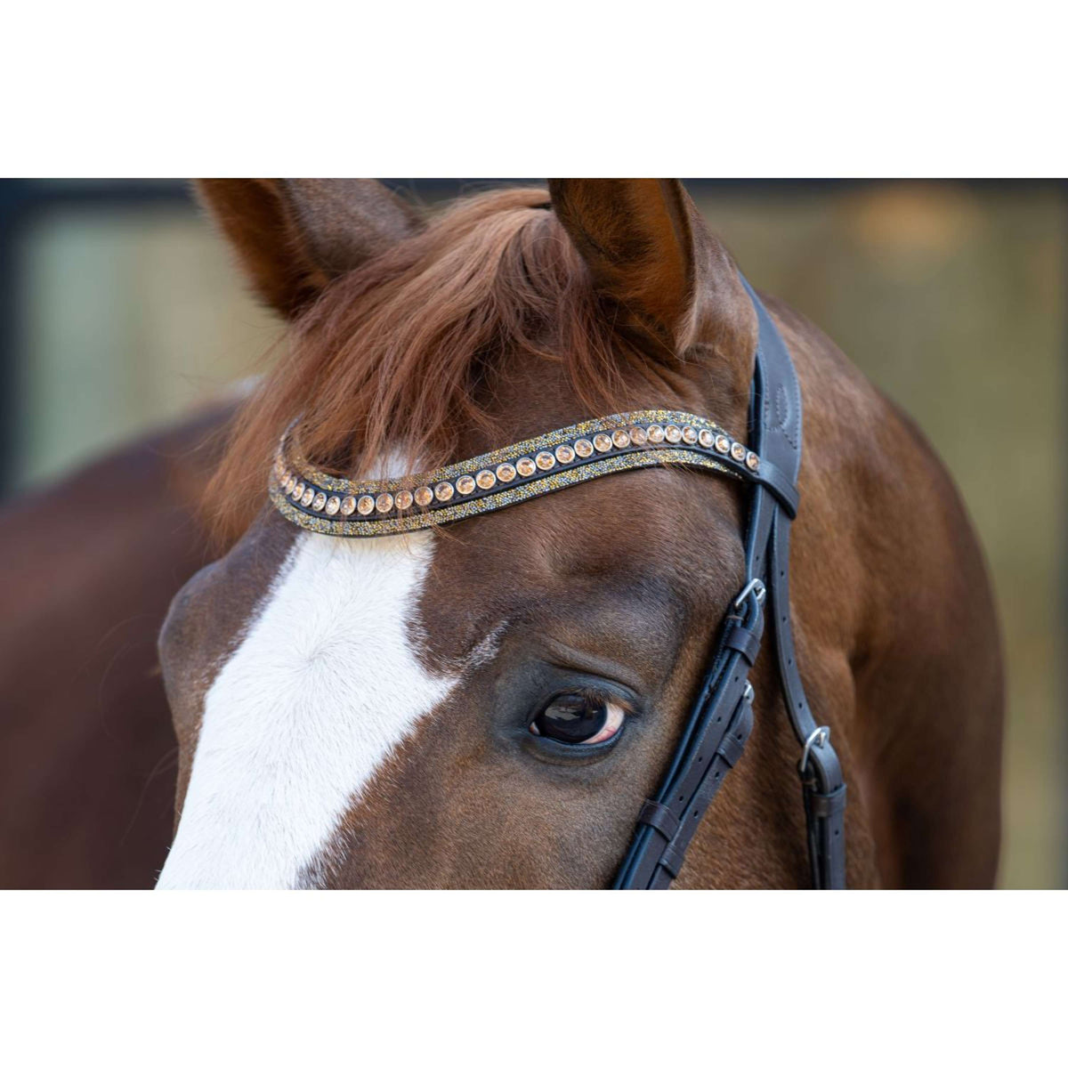 HB Zaum Showtime It is So Special Braun/Golden Glitter