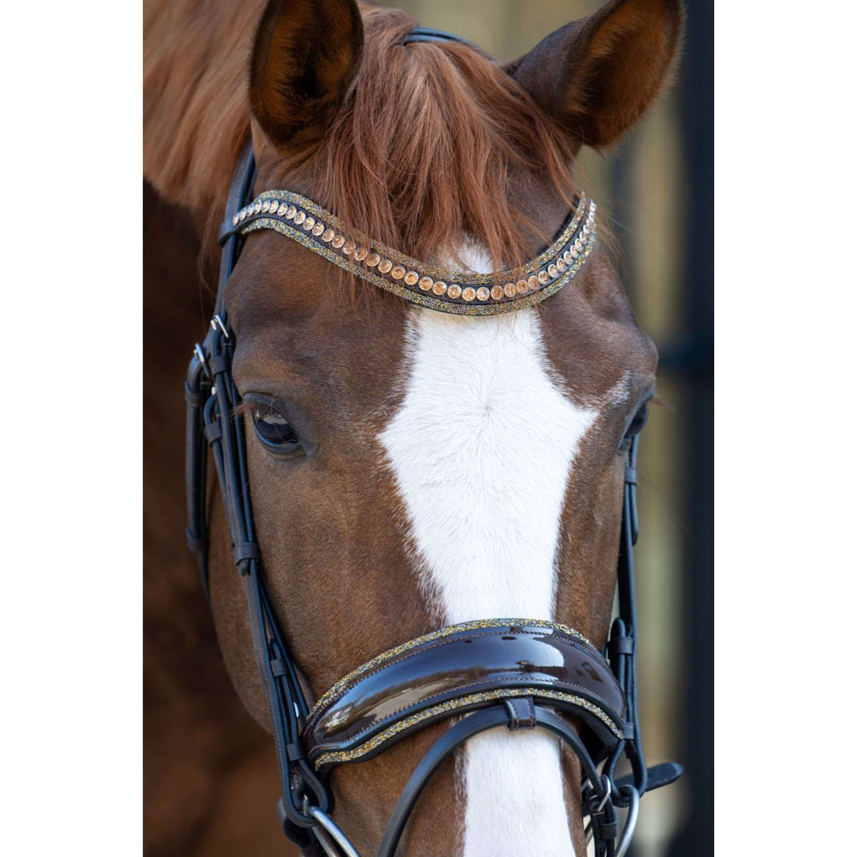 HB Zaum Showtime It is So Special Braun/Golden Glitter