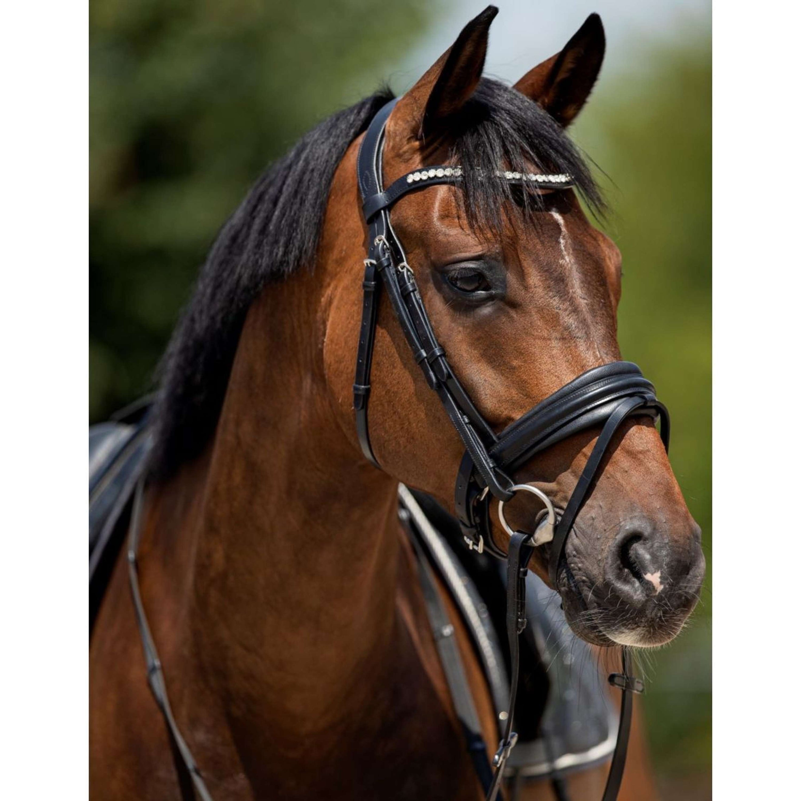 HB Showtime Trense Very Soft Schwarz HB Showtime Trense Very Soft Schwarz