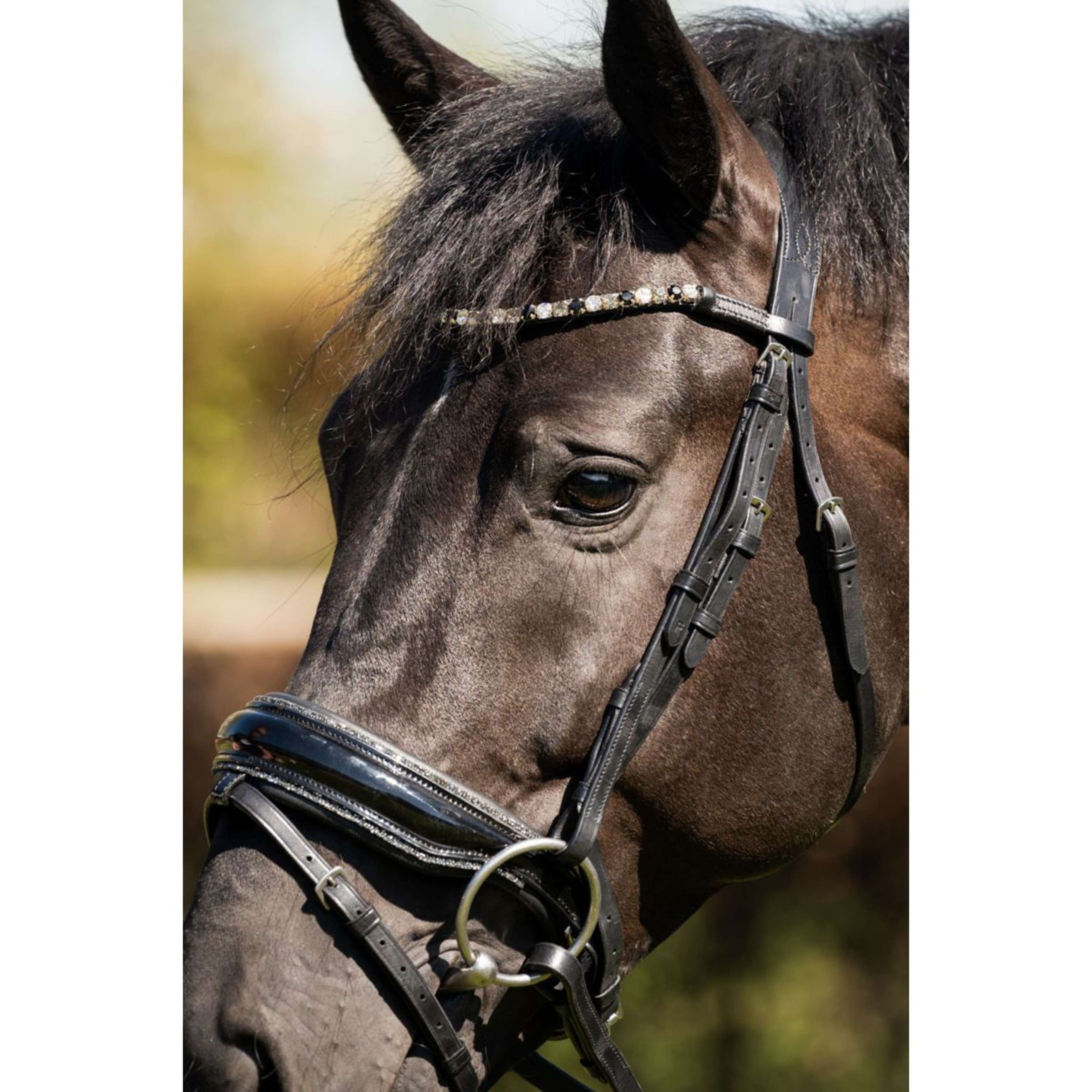 HB Trense Showtime Evalira Schwarz/Grau HB Trense Showtime Evalira Schwarz/Grau