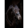 HB Trense Showtime Evalira Blau/Schwarz