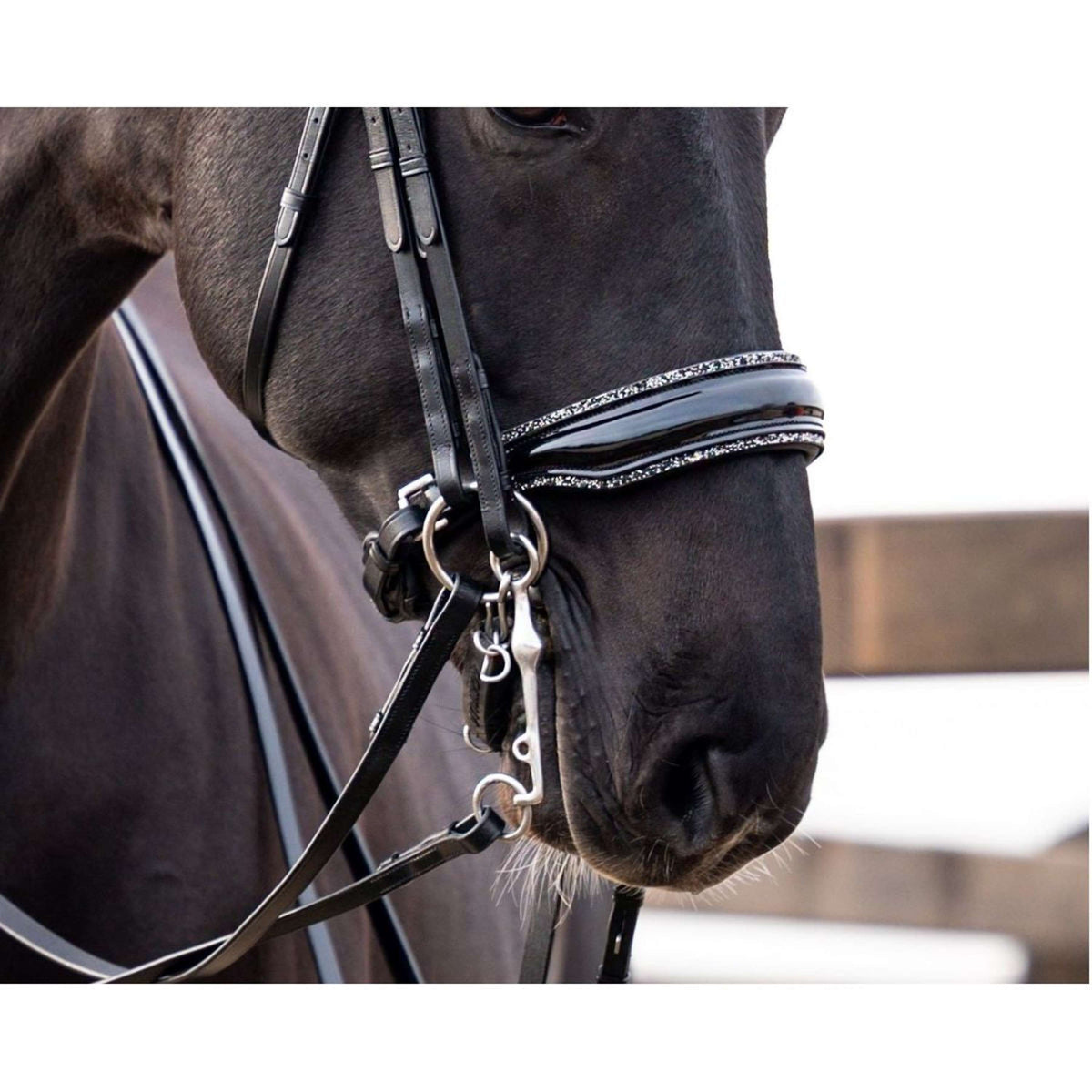 HB Showtime Reithalfter Rocky Glitter Anatomisch Schwarz