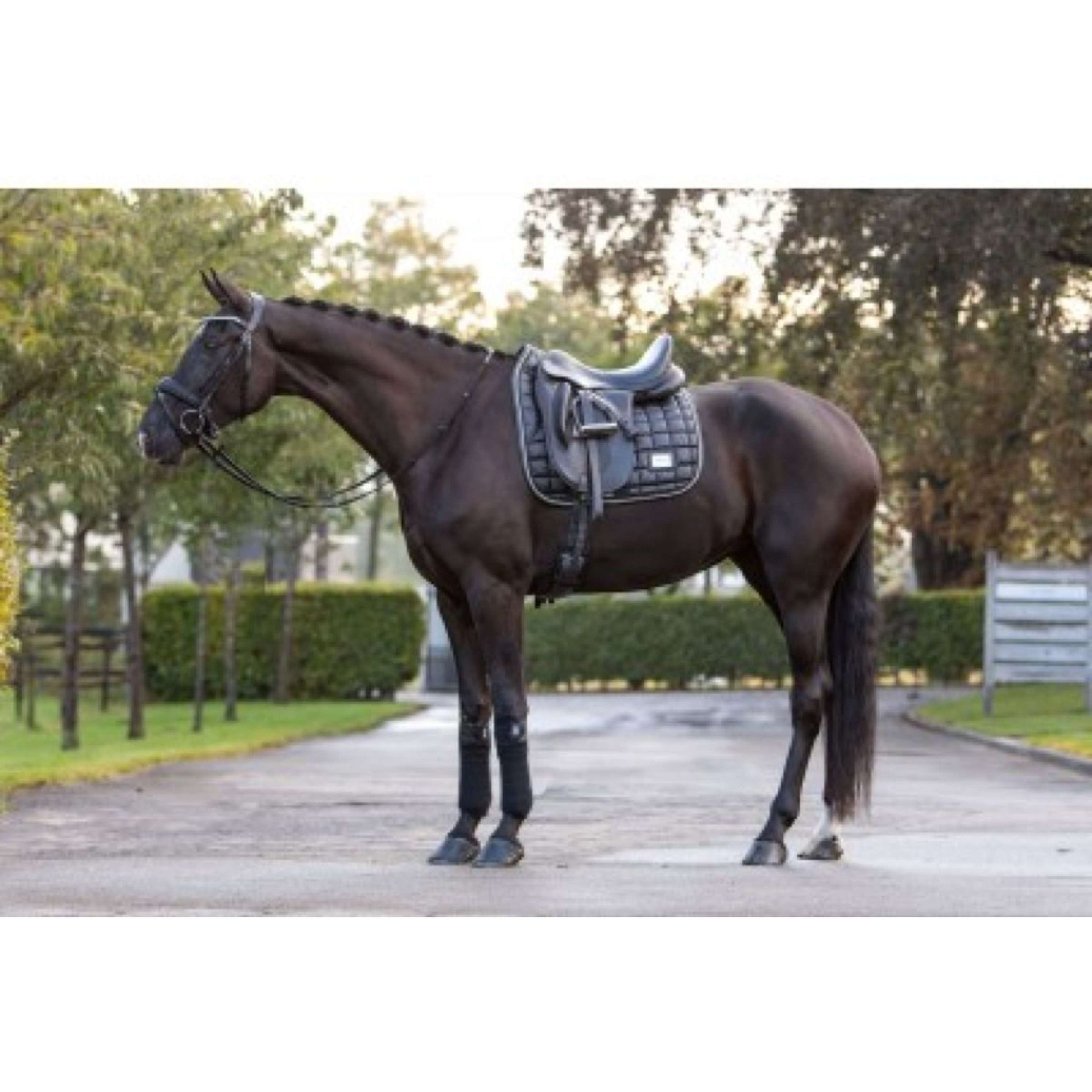 HB Showtime Schabracke Lake View Dressur Schwarz HB Showtime Schabracke Lake View Dressur Schwarz