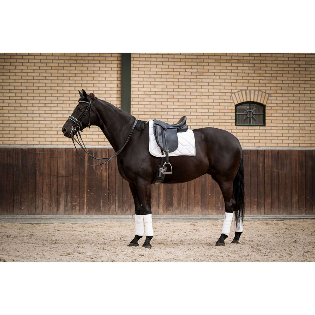 HB Showtime Schabracke Crown Dressur Weiß