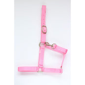 HB Halfter Nylon Rosa