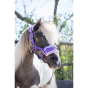 HB Halfter Nylon Kappzaum Violett