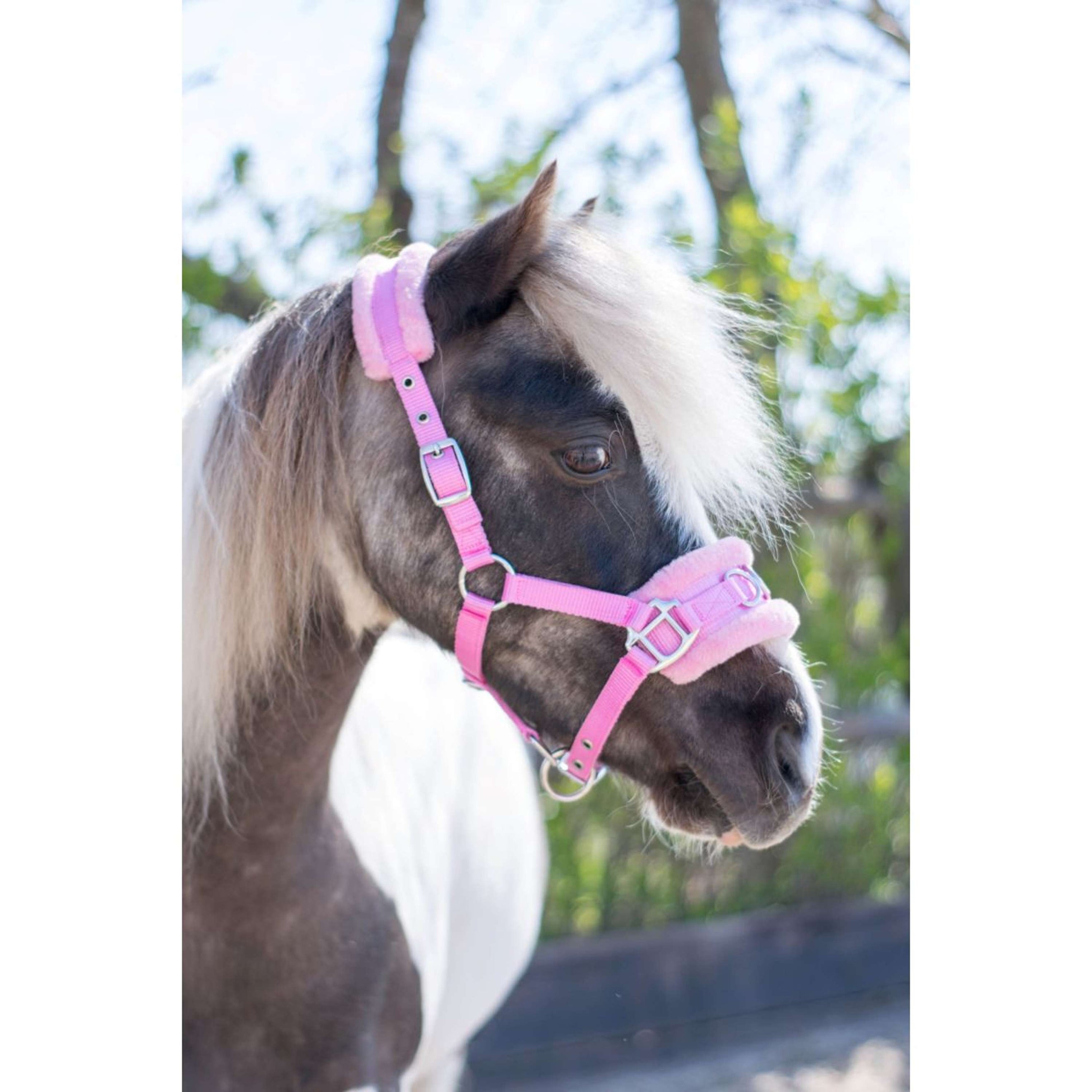 HB Halfter Nylon Kappzaum Rosa