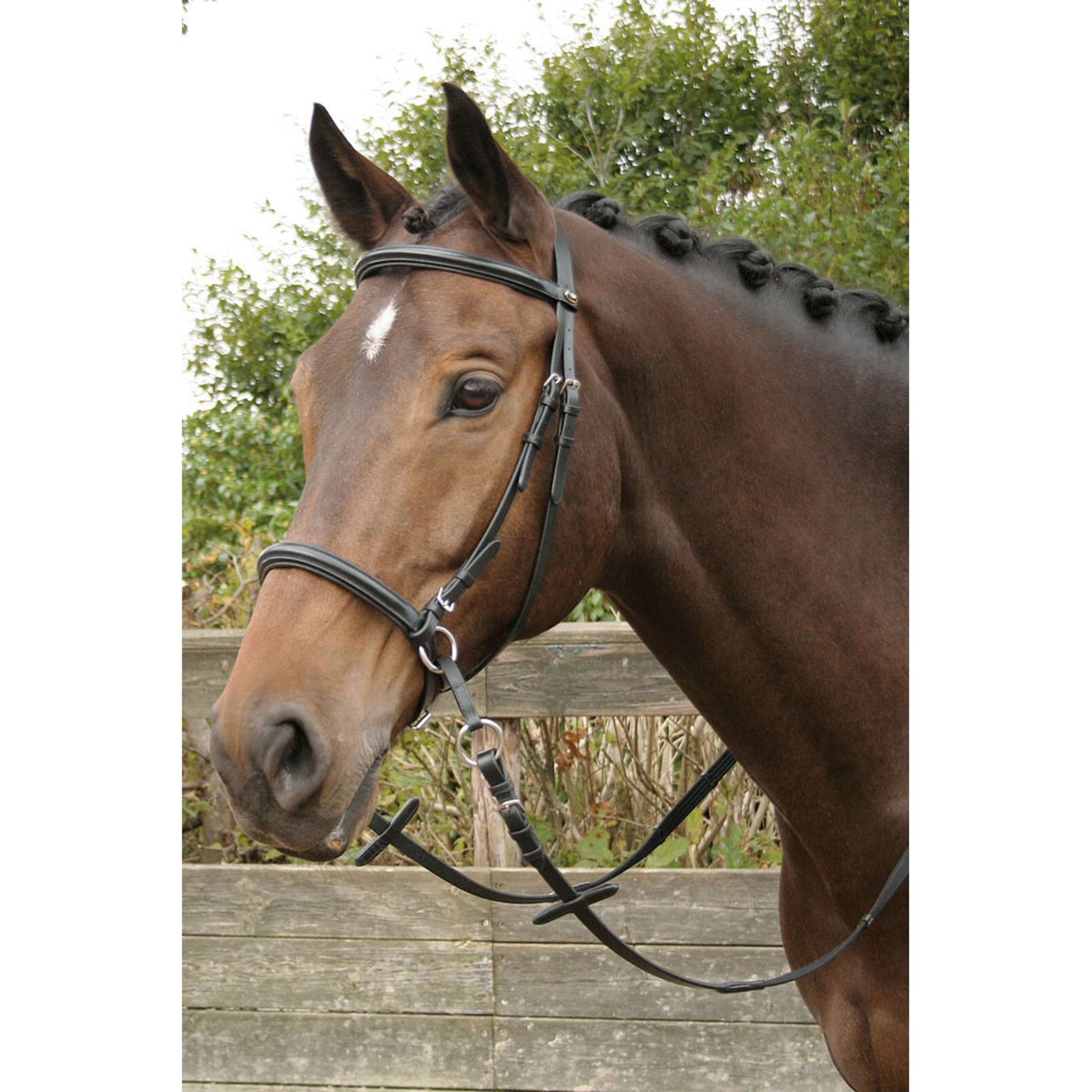 Harry's Horse Trense Gebisslos Schwarz Harry's Horse Trense Gebisslos Schwarz