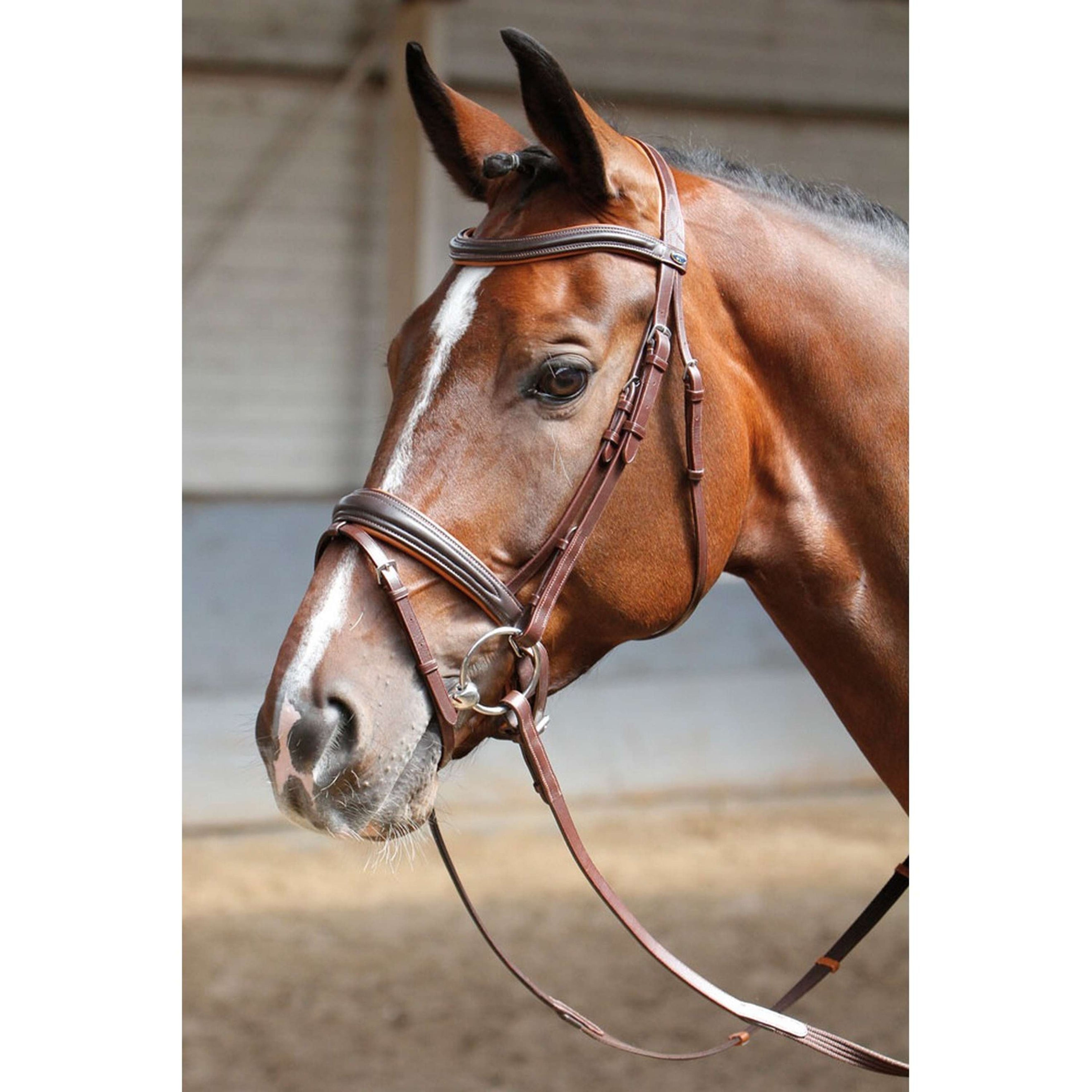 Harry's Horse Trense Soft Braun Harry's Horse Trense Soft Braun