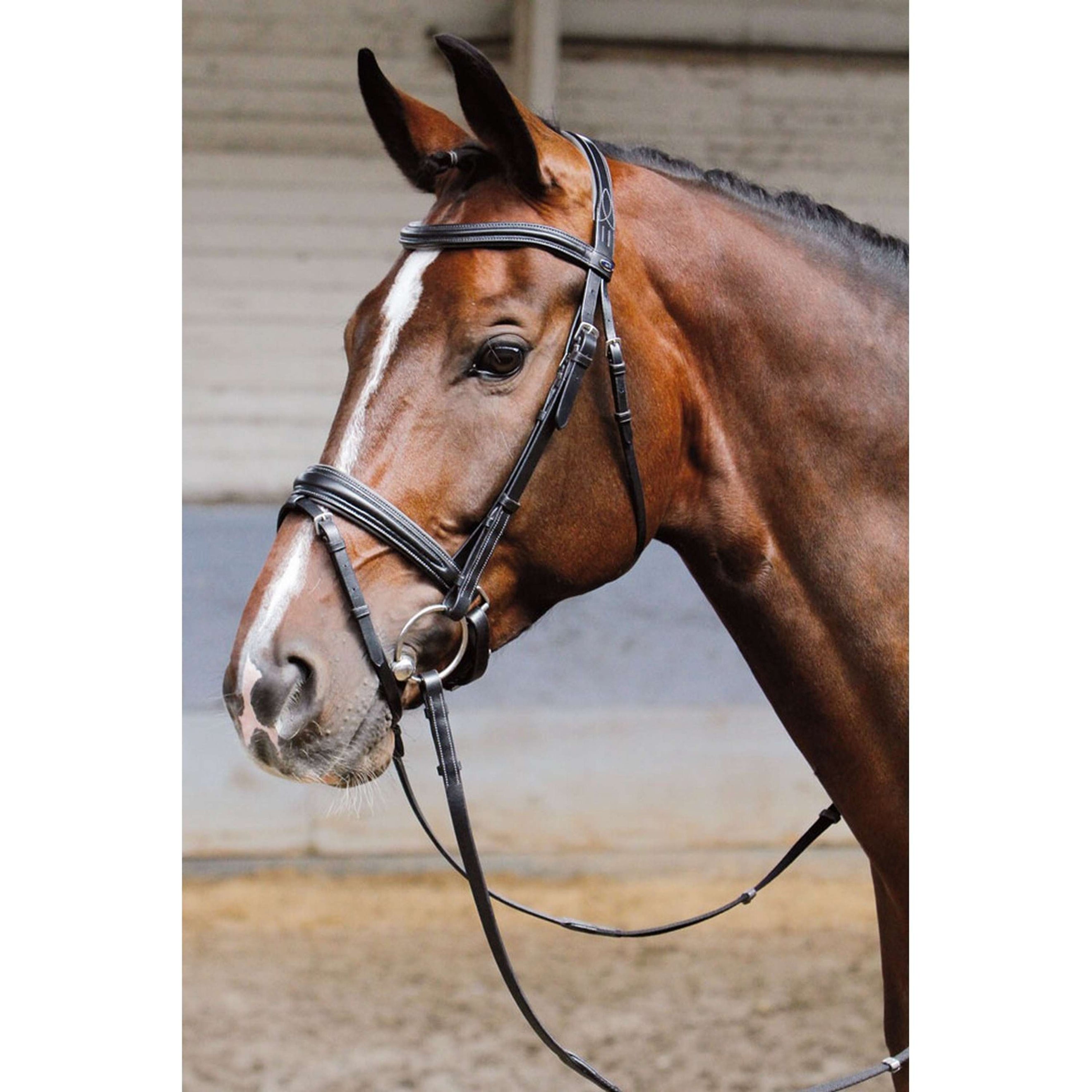 Harry's Horse Trense Soft Schwarz Harry's Horse Trense Soft Schwarz
