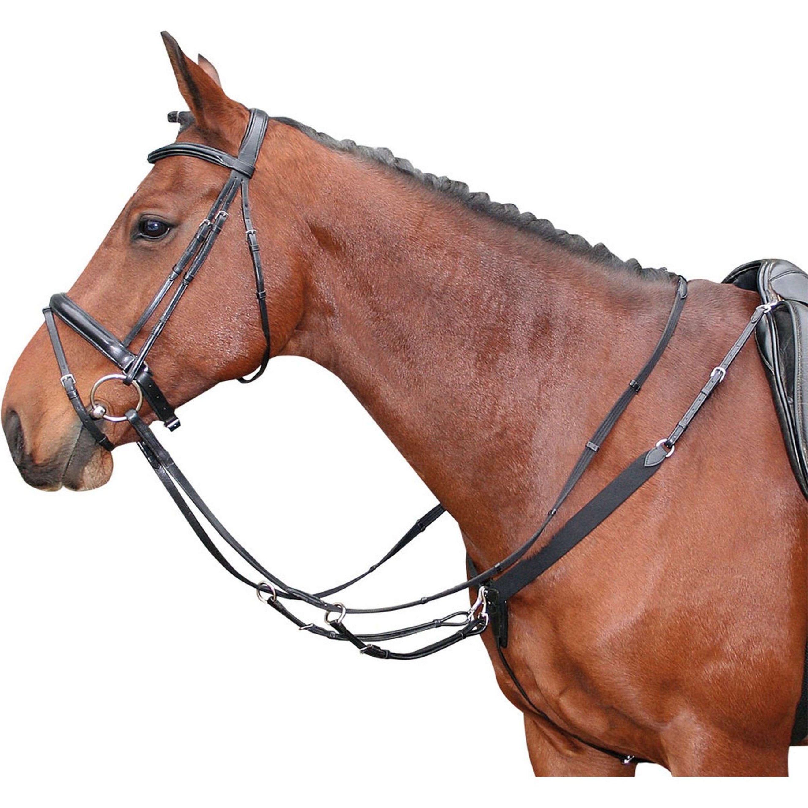 Harry's Horse Elastisches Vorderzeug Schwarz Harry's Horse Elastisches Vorderzeug Schwarz