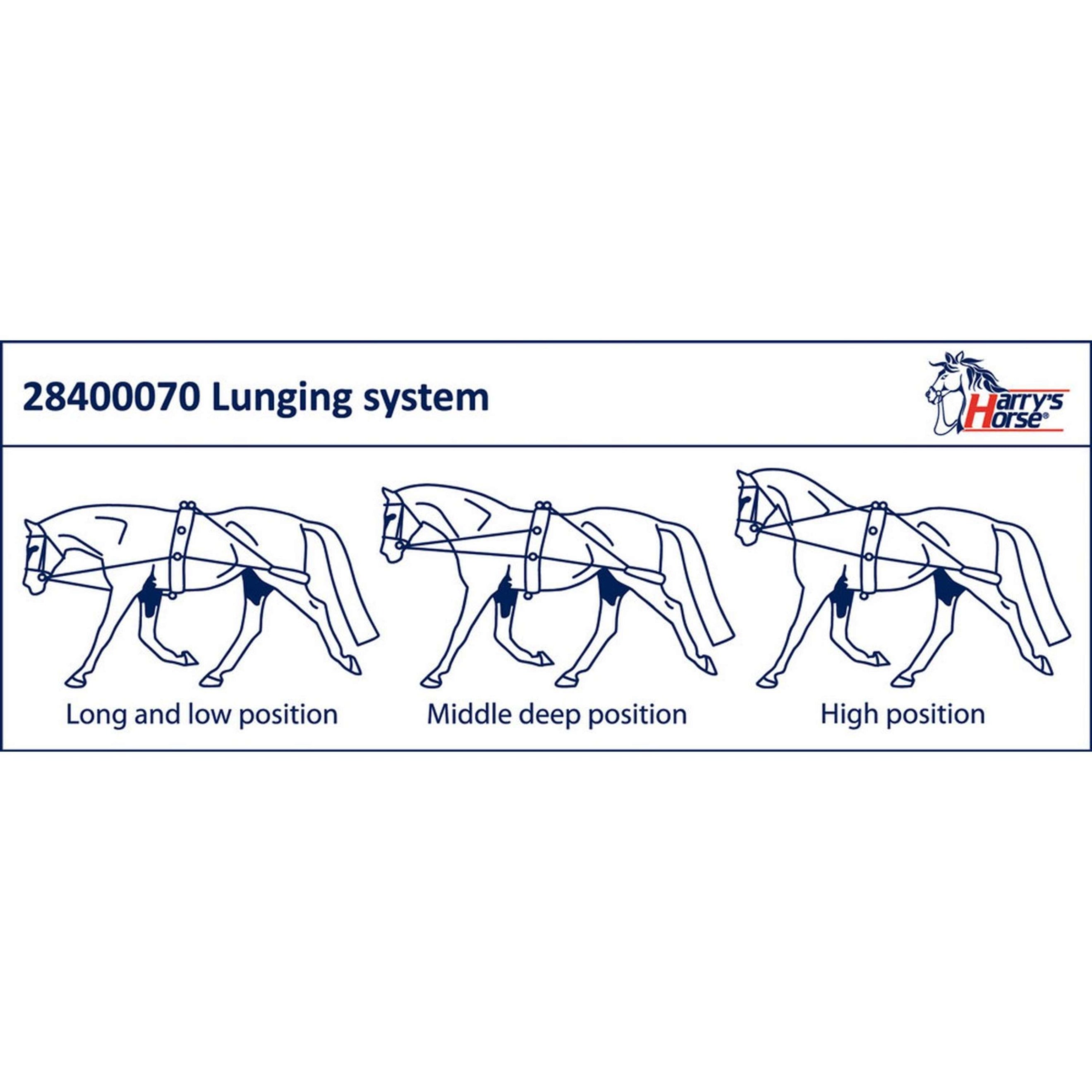 Harry's Horse Longierausbindezügel Harry's Horse Longierausbindezügel