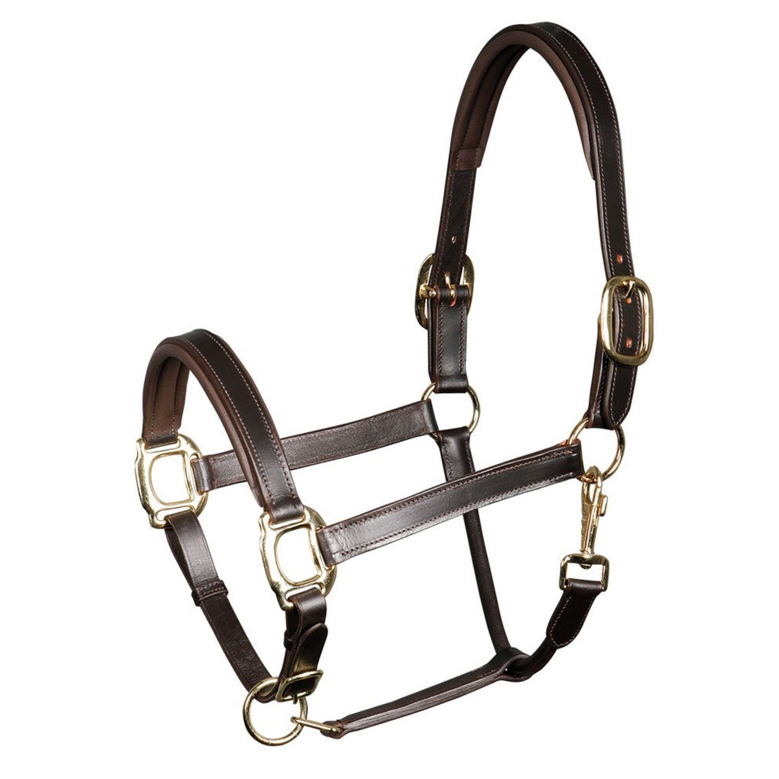 Harry's Horse Lederhalfter gepolstert Braun Harry's Horse Lederhalfter gepolstert Braun
