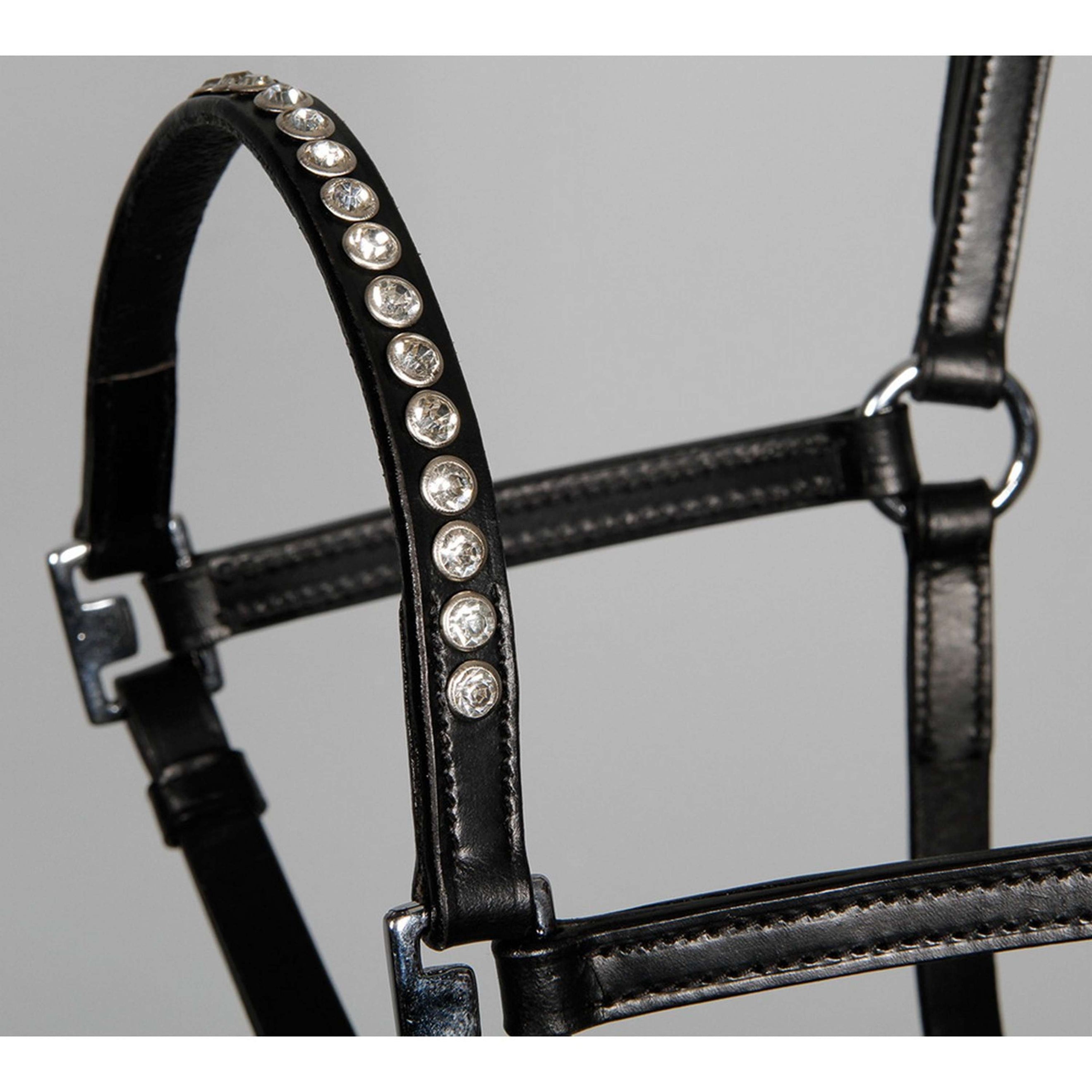 Harry's Horse Halfter Crystal Schwarz/Silber Harry's Horse Halfter Crystal Schwarz/Silber