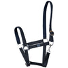 Harry's Horse Halfter Padded Schwarz