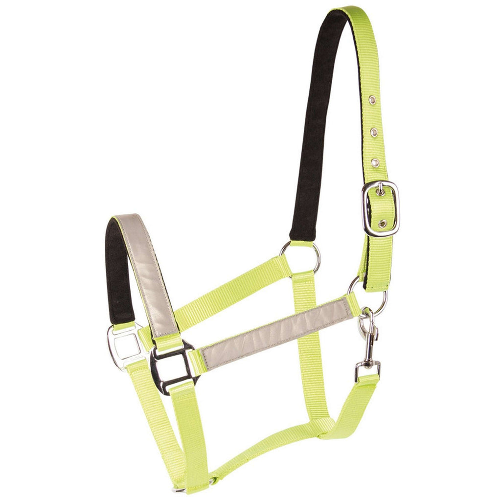 Harry's Horse Halfter Reflektierend